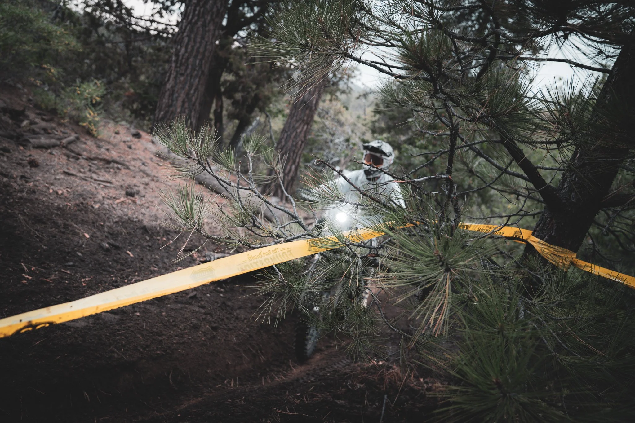 A dirt trail in a forested area with pine trees, marked off with yellow caution tape. A person, wearing a helmet and protective gear, is visible through the branches.