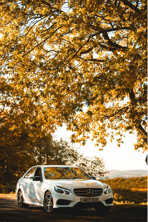 Screenshot 2026-02-02 at 4.19.35 pm.png