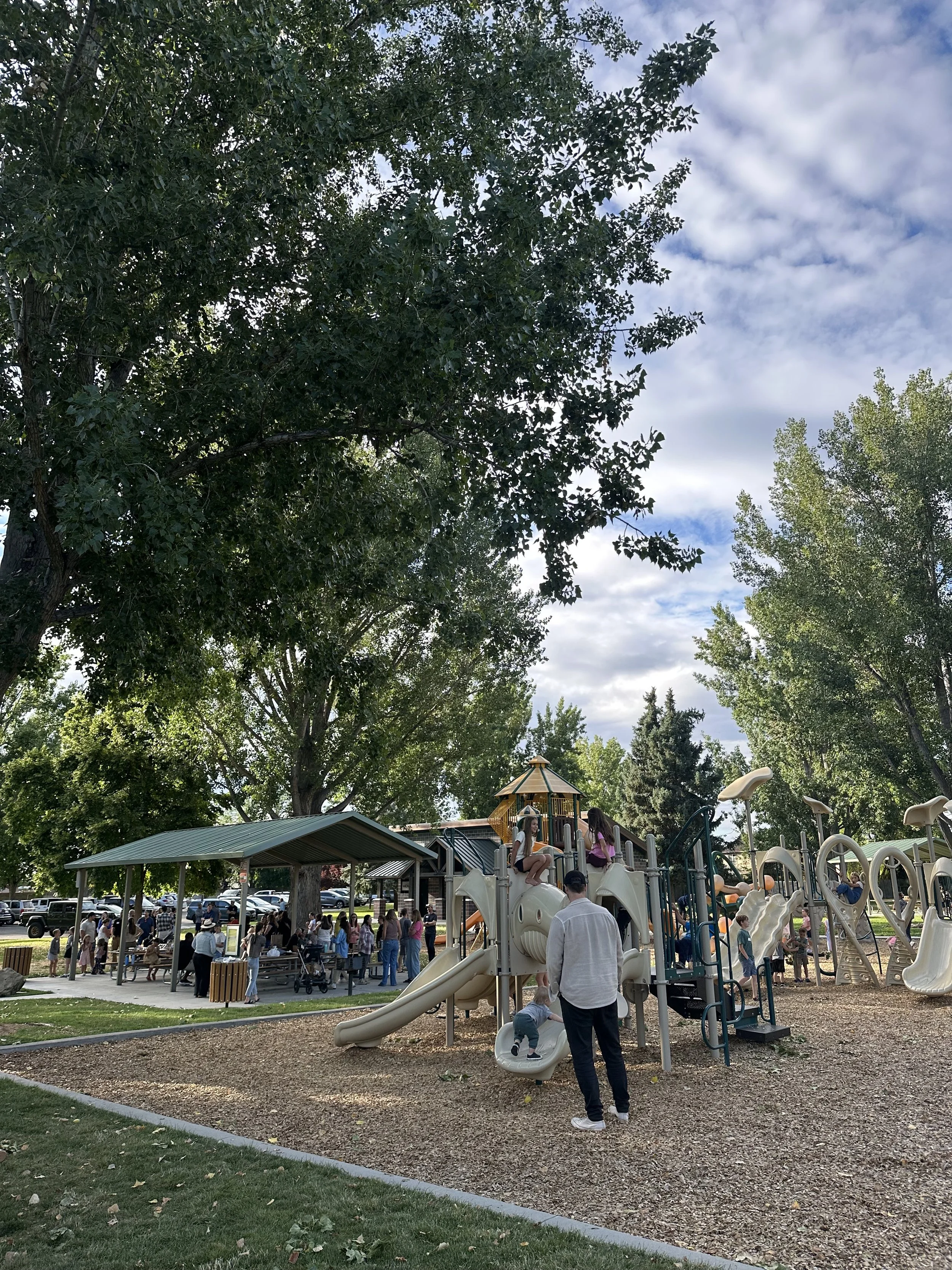 Oaks in the Park