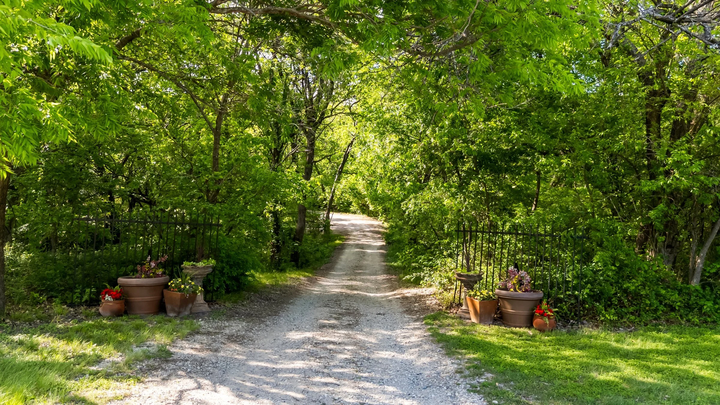 Treelined entry (1).jpg