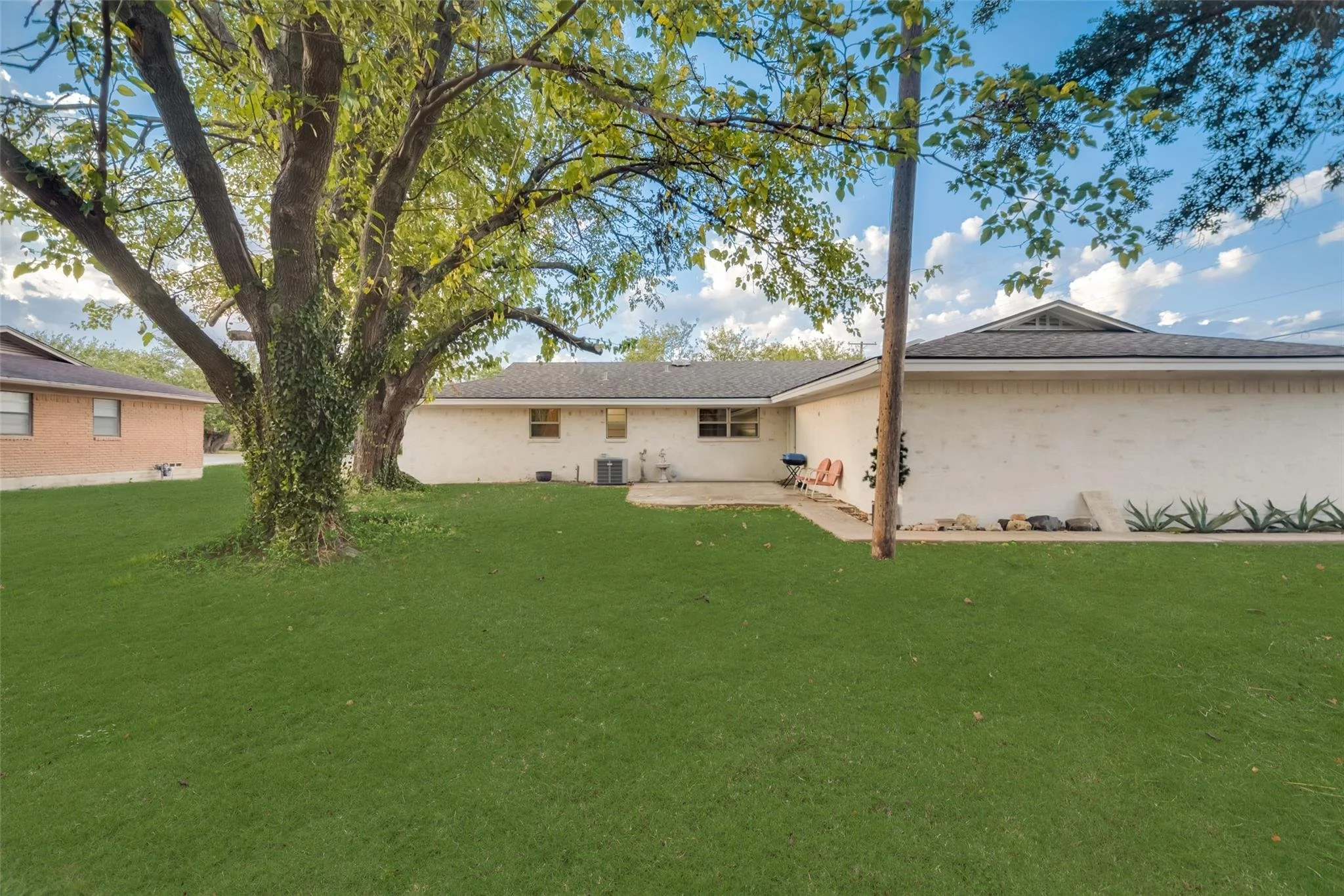Backyard 2.jpg