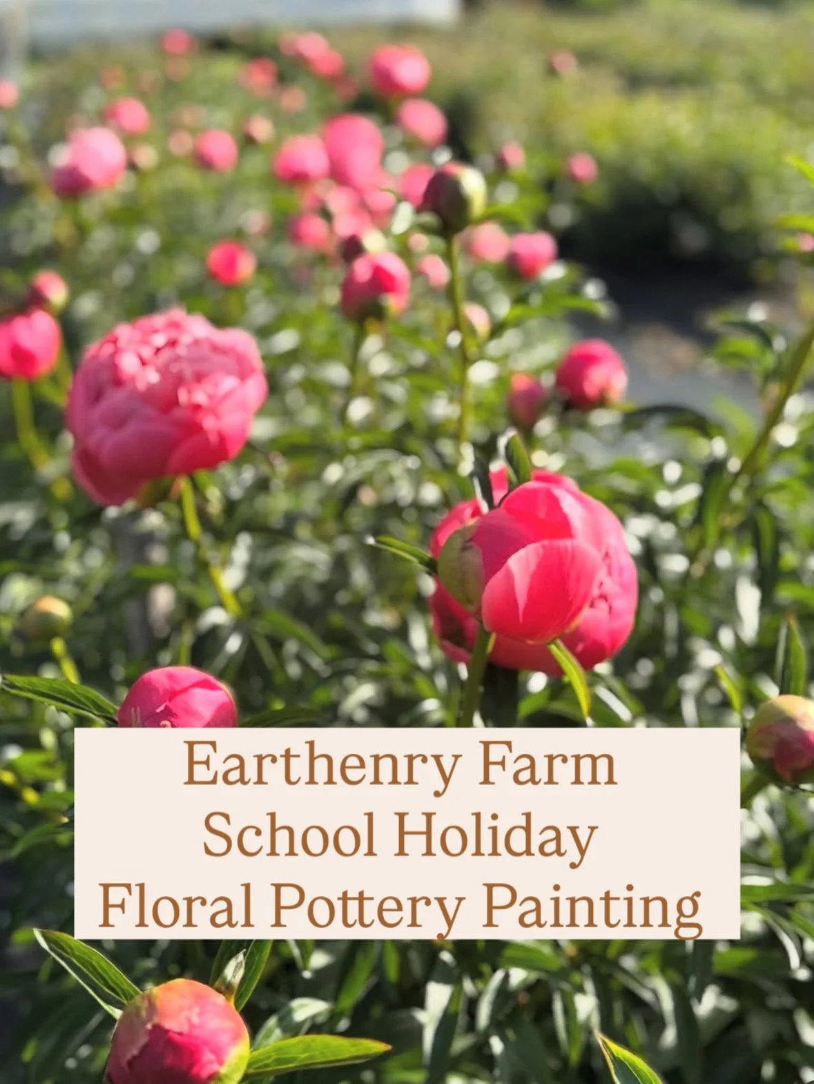 School Holiday fun @earthenry_farm 
Final tickets available now over on their website &hearts;️

Join us for a fun day at the farm playing with flowers, painting and pottery. You&rsquo;ll gather a small posy of beautiful blooms from the flower fields
