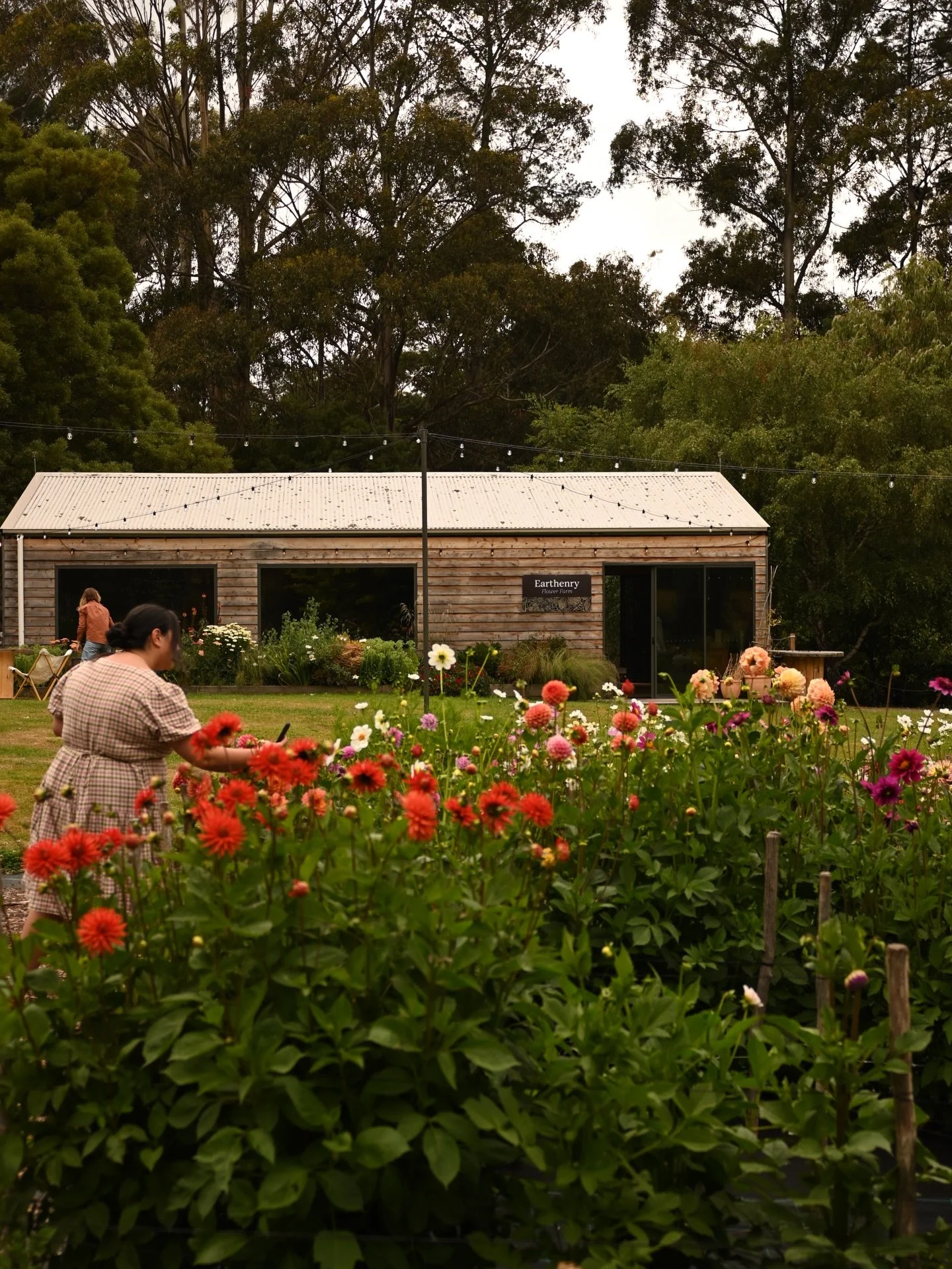 It&rsquo;s days like these we really have to pinch ourselves! We are so lucky to get to work with Emma &amp; the wonderful staff @earthenry_farm on this one of a kind, school holiday Floral Plate Painting event 🤍

Follow along as we share their incr