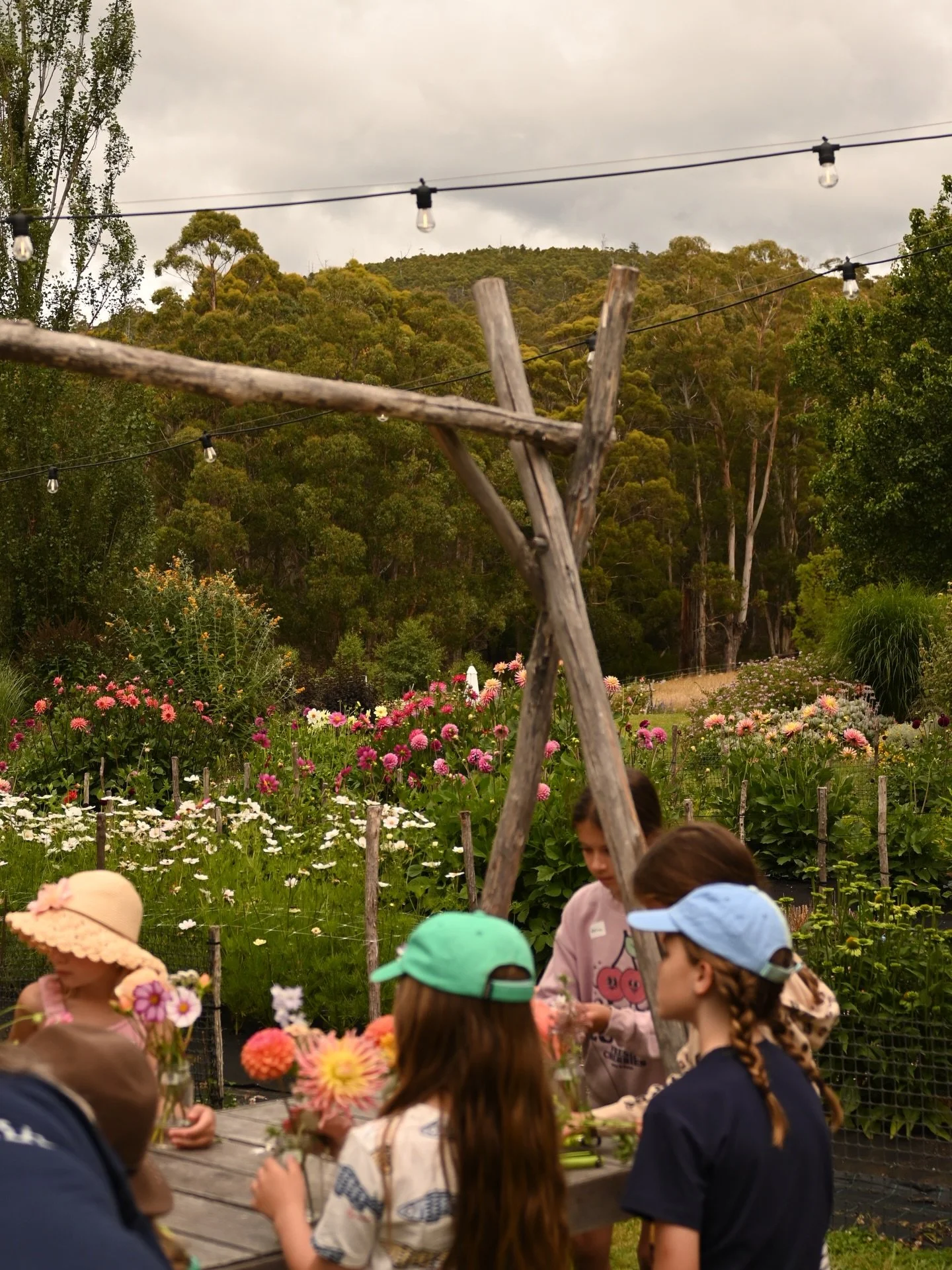 These incredible little artists absolutely blew us away! 

We enjoyed picking out our favourite flowers amongst the stunning fields @earthenry_farm 

Using these beautiful blooms as inspiration. Our incredible little ones enjoyed time drawing and pai