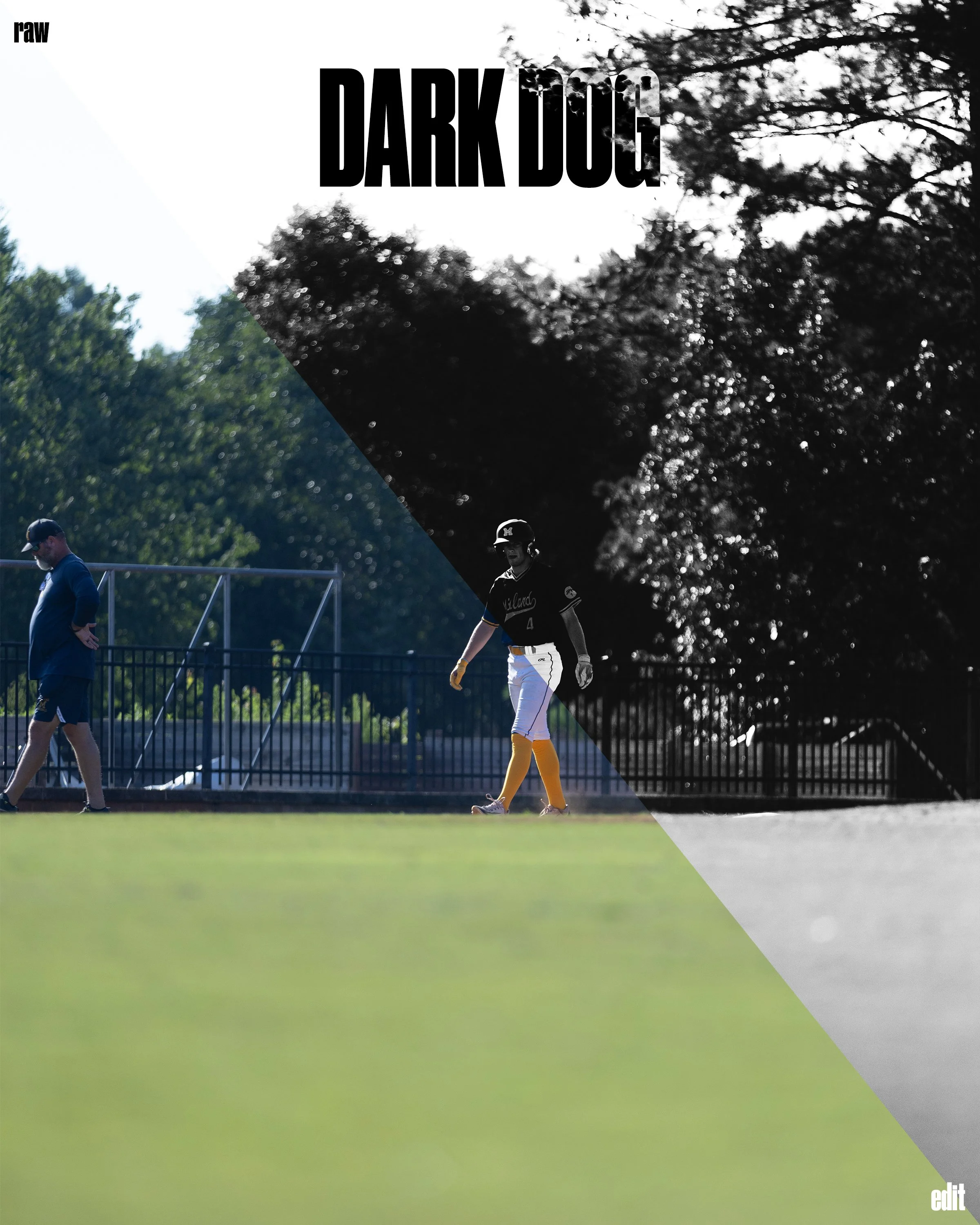 Dark Dog.jpg