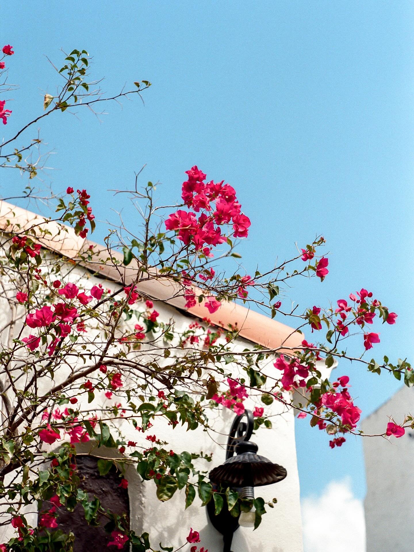 photography as a hobby

it&rsquo;s sometimes an interesting balance, finding the right moments to document: when to grab my camera and when to just be. 

I rarely pull out my &ldquo;real&rdquo; camera on vacation - my iPhone storage maxes out as I ta