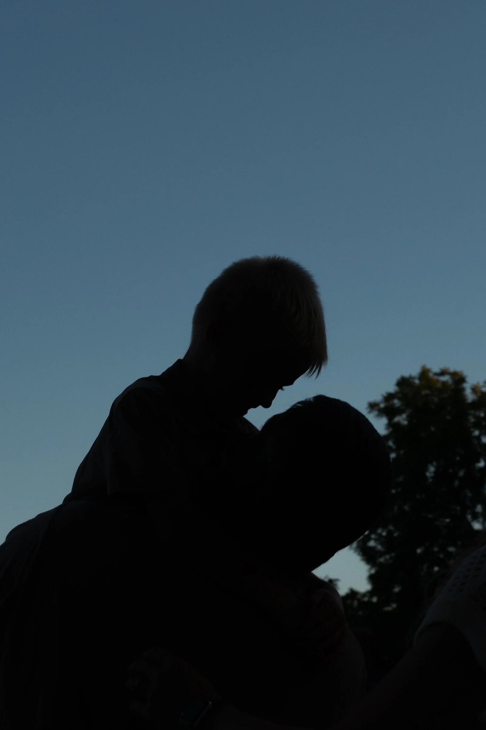 Silhouette of a child being lifted into the air, with a clear sky and a tree in the background.