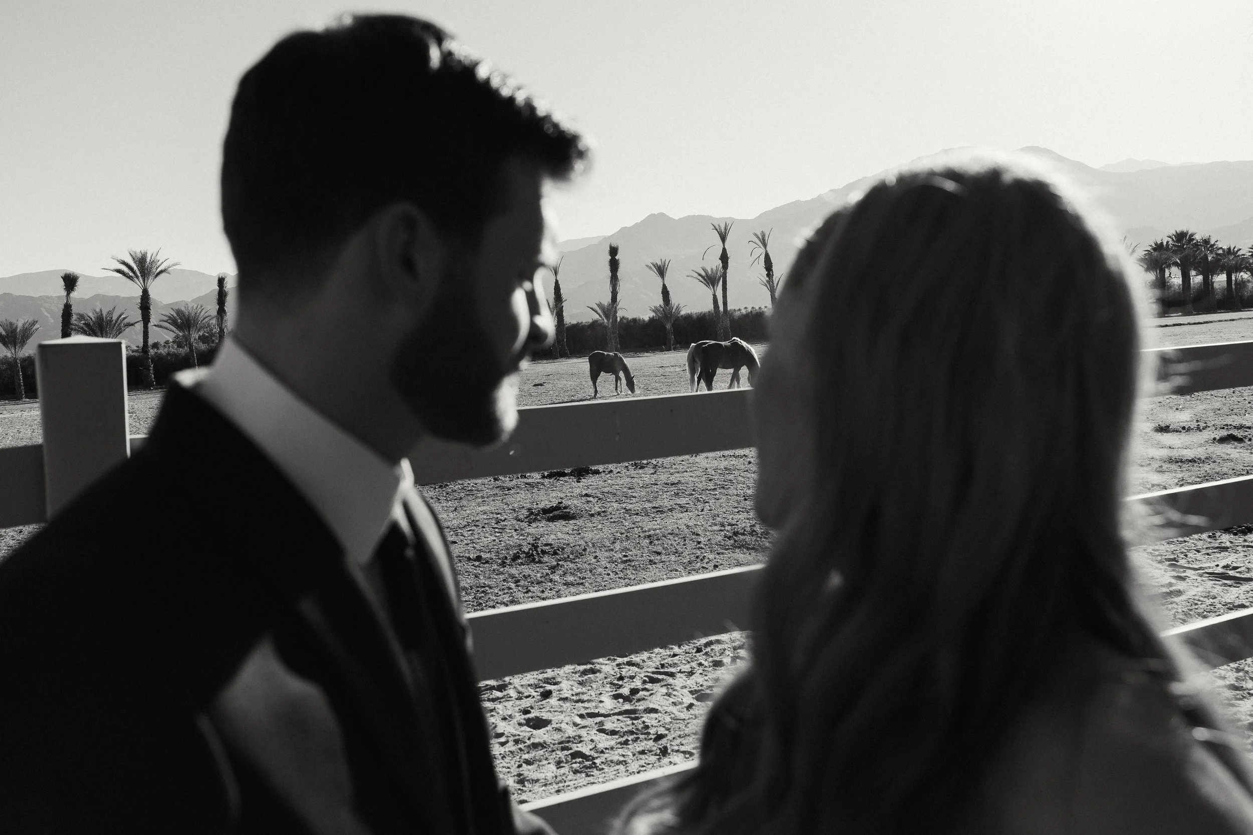 Emily & Connor Previews-31.jpg