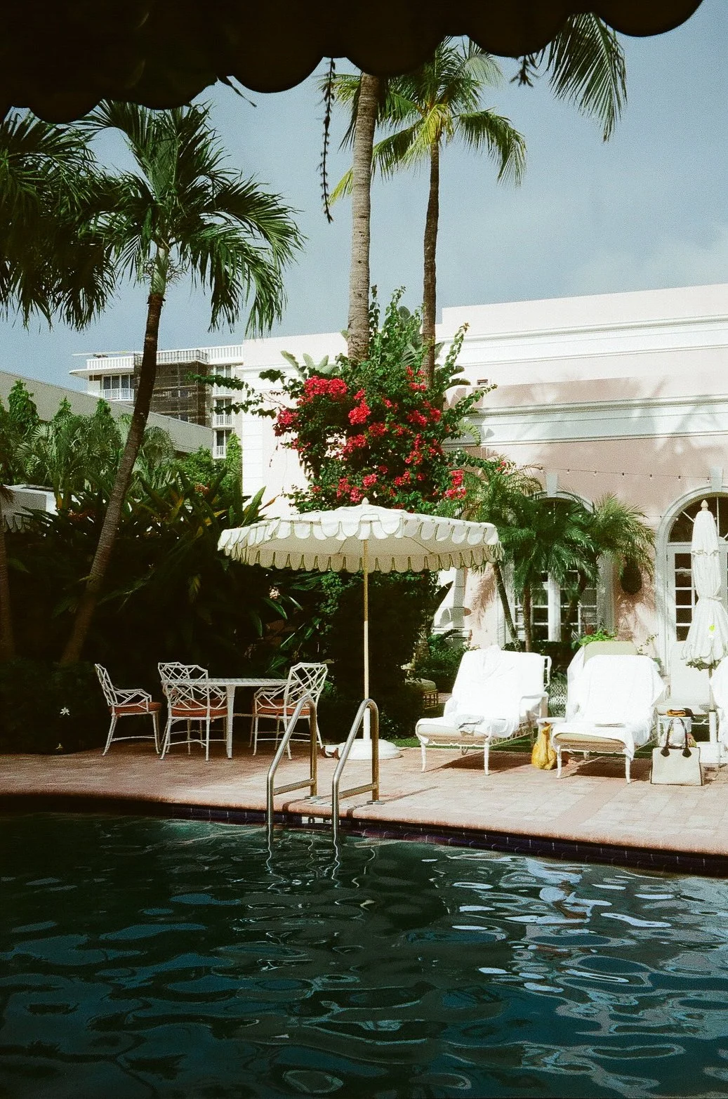 A poolside area at the Colony in Palm Beach with white lounge chairs, tables, and umbrellas surrounded by lush green palm trees and flowering plants, with a building in the background and a gray sky overhead.