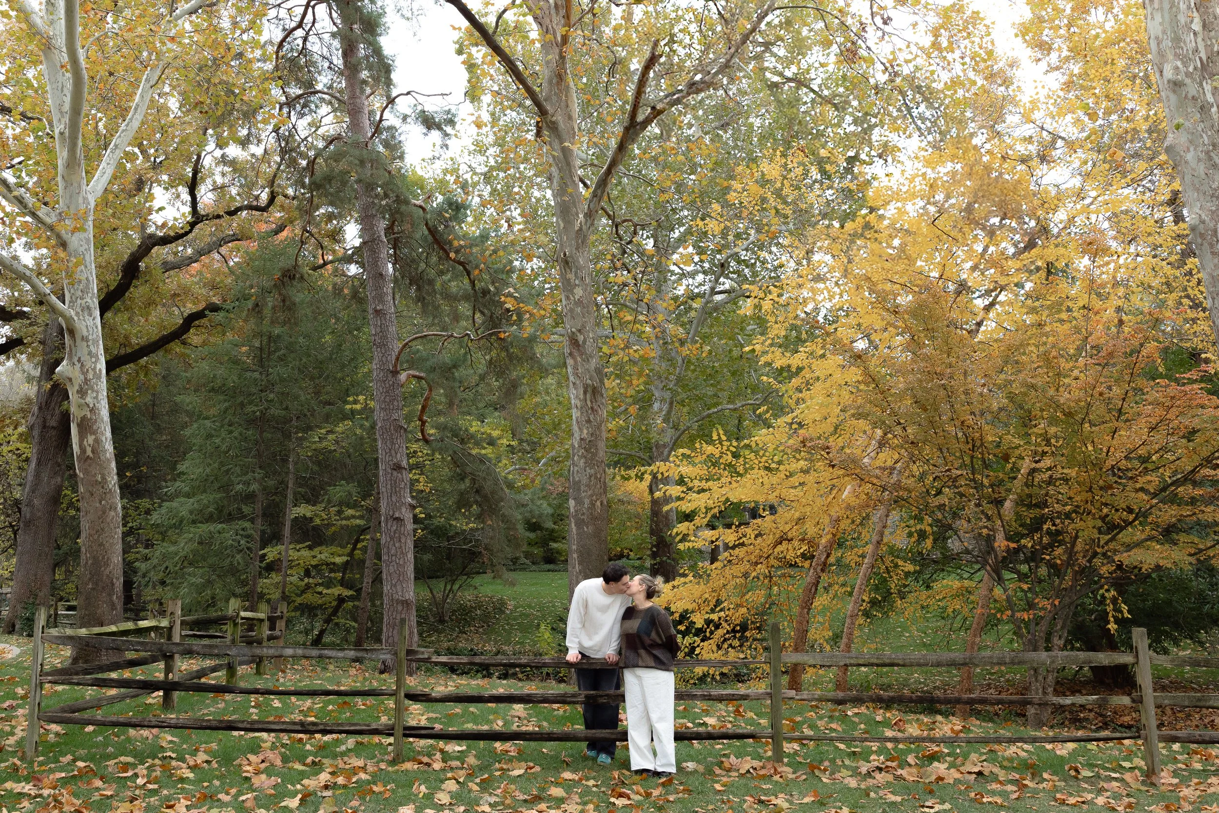 A couple sharing a kiss in a park during autumn, with fallen leaves on the ground and trees with yellow and green leaves in the background.
