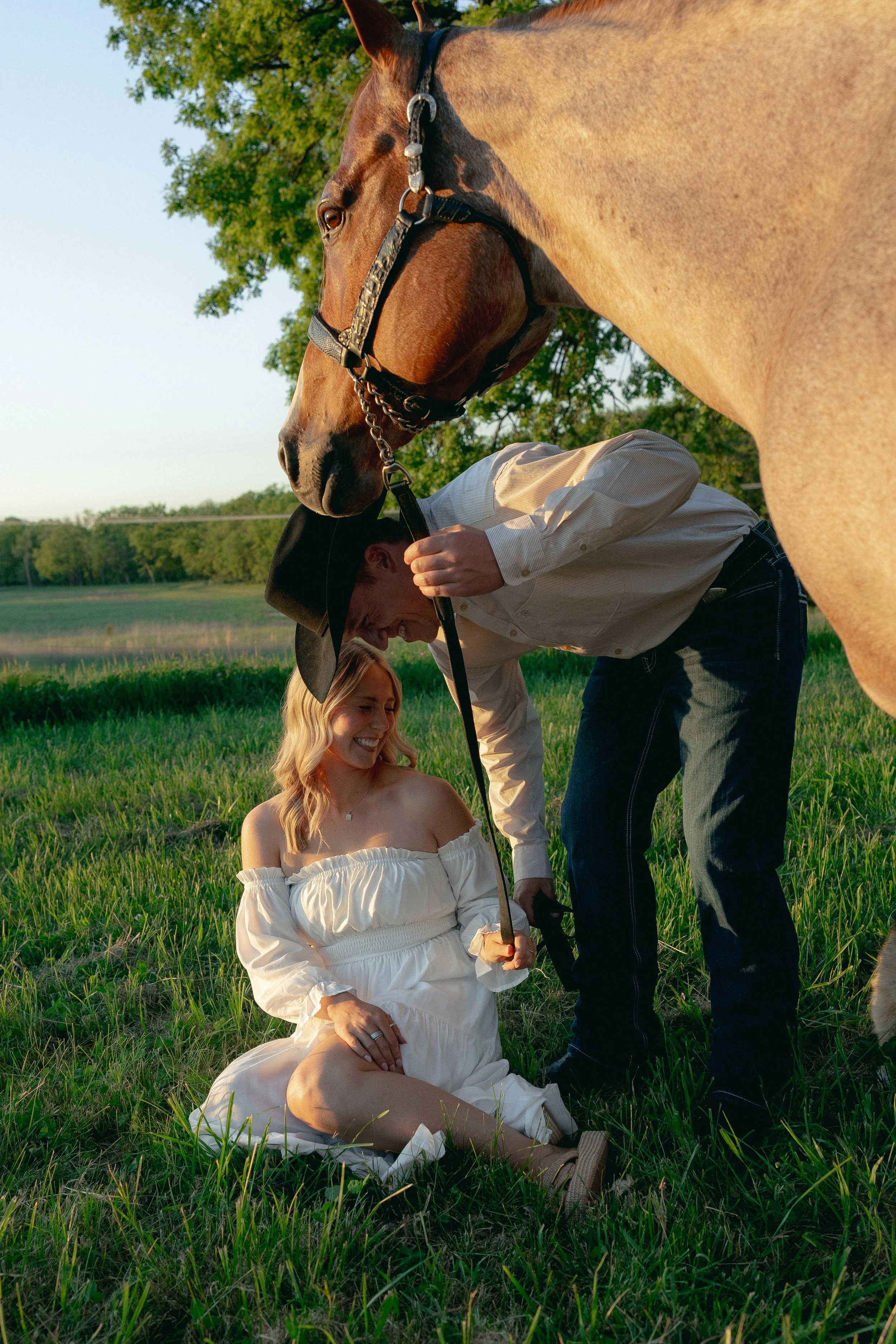 A woman in a white off-shoulder dress sitting on grass in a field, with a man and a person wearing a hat standing nearby. A brown horse with a black halter is approaching her from the right side. The scene is outdoors with green grass and trees in th