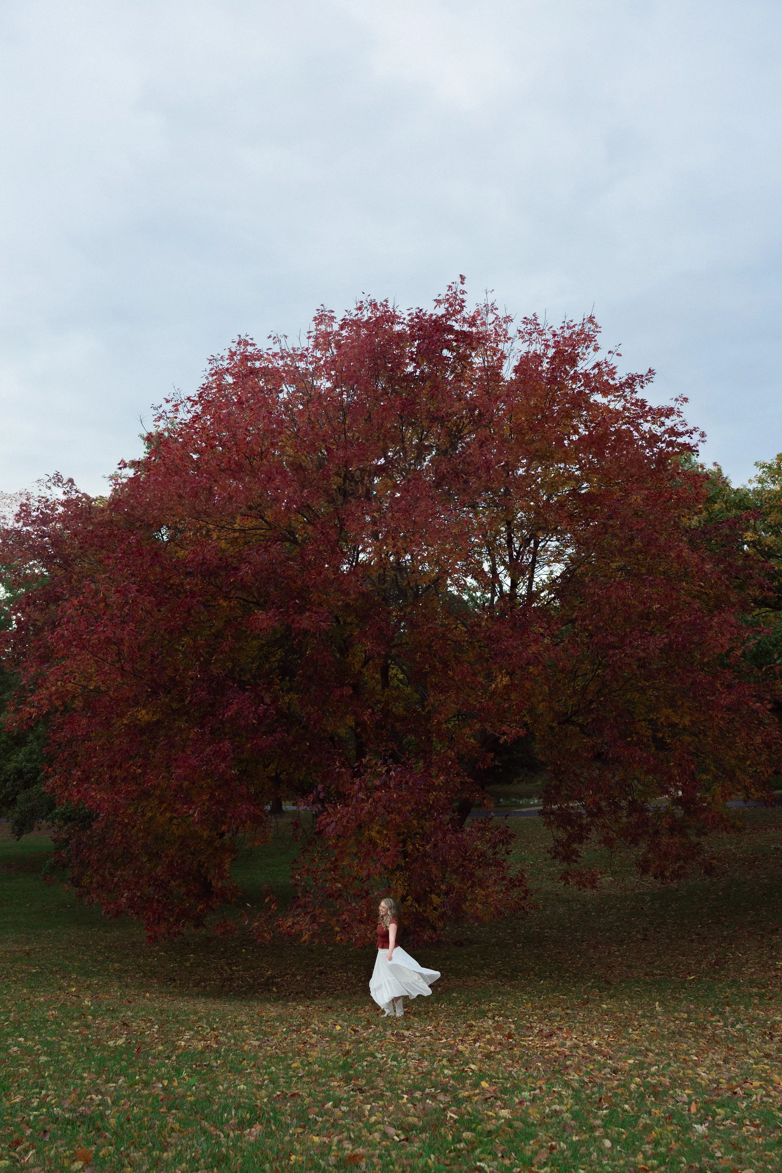 Hailey Senior-24.jpg