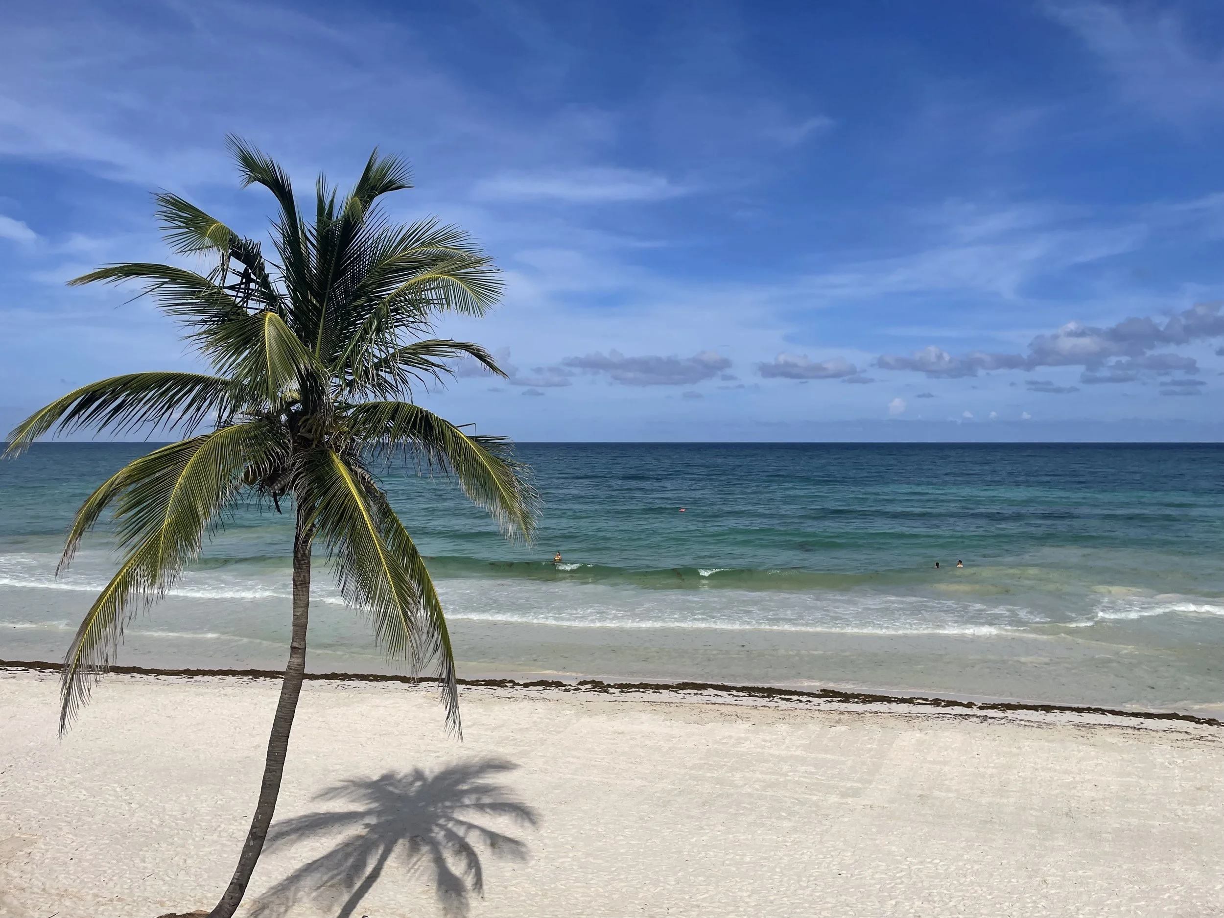 IMG_5121.jpeg