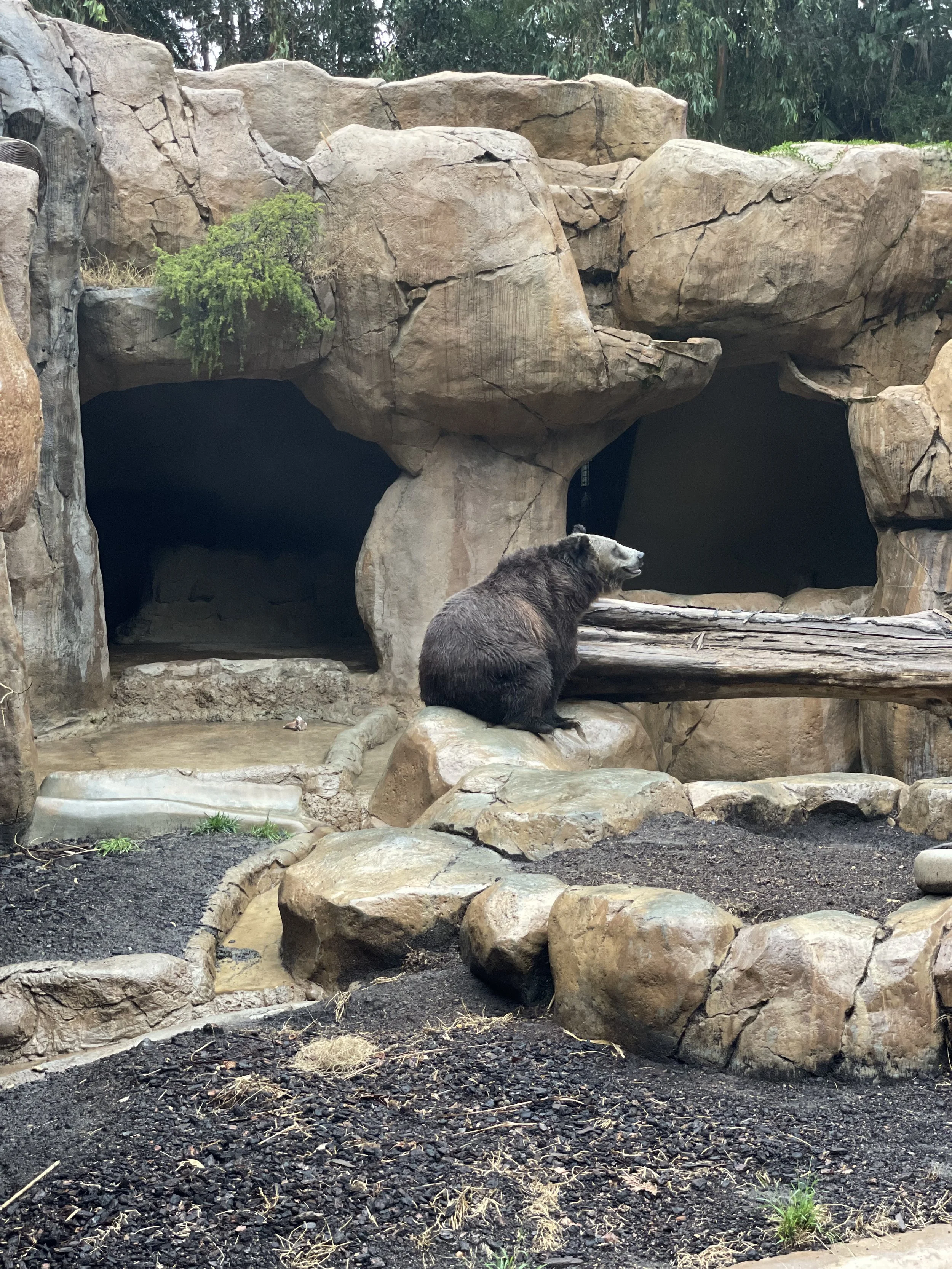 IMG_6313.jpeg