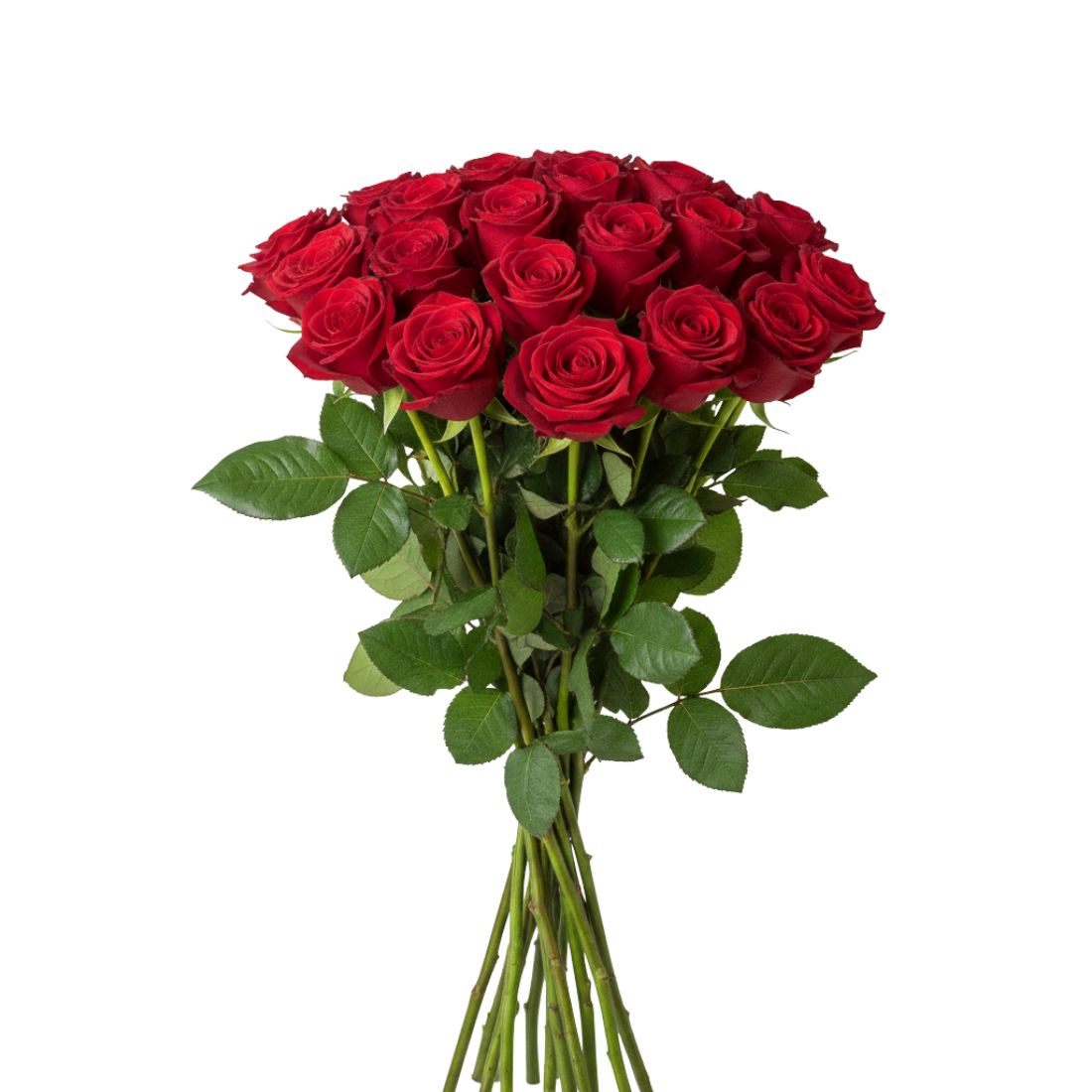 add-on: additional roses