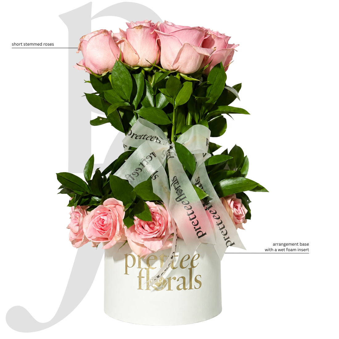 59.png (Copy)