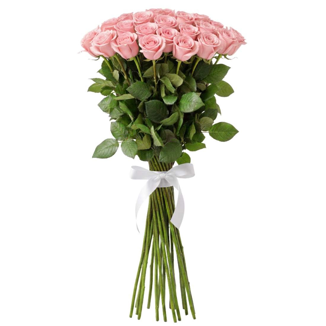 long stem rose bouquet
