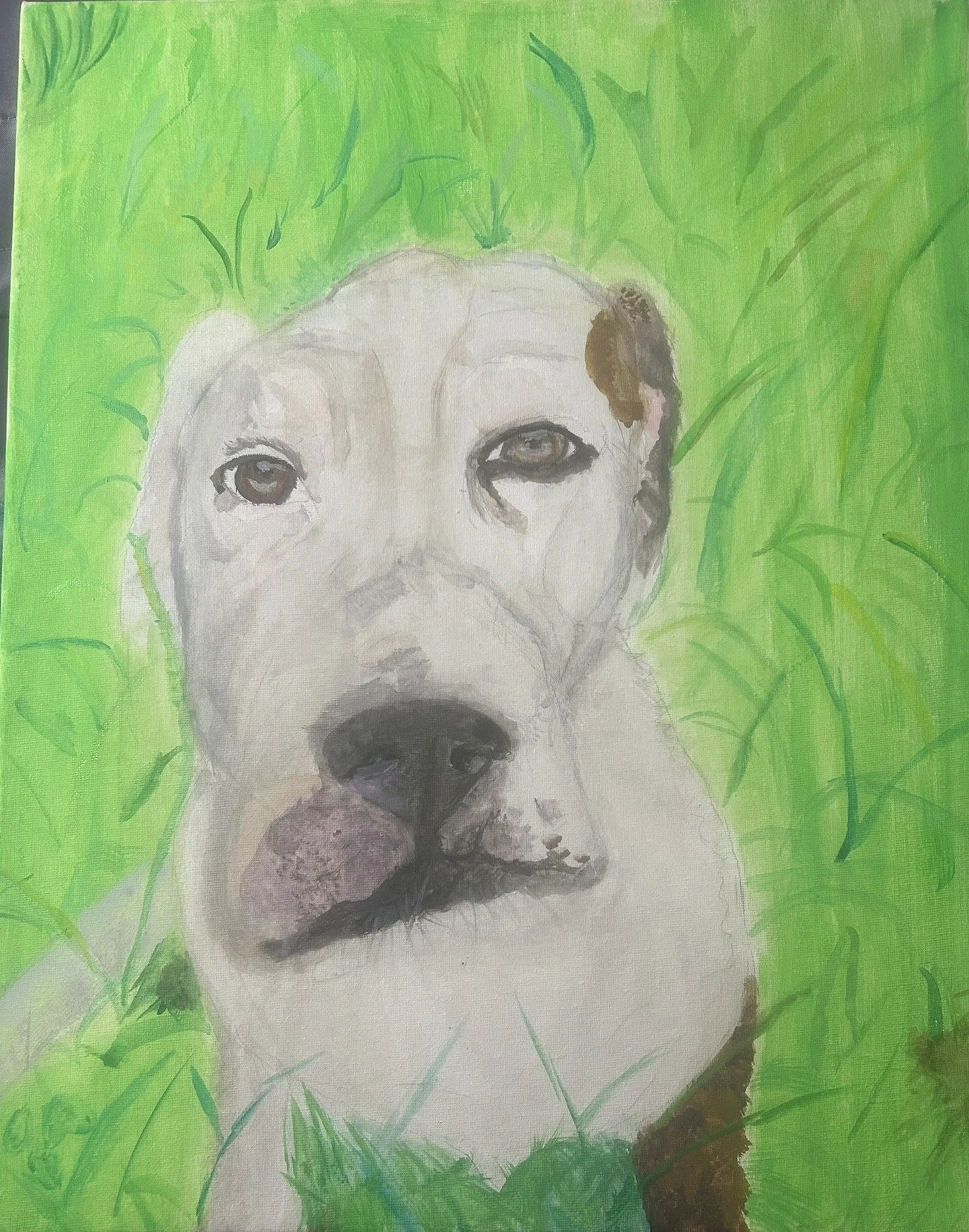 Dog Portrait Commission Painting