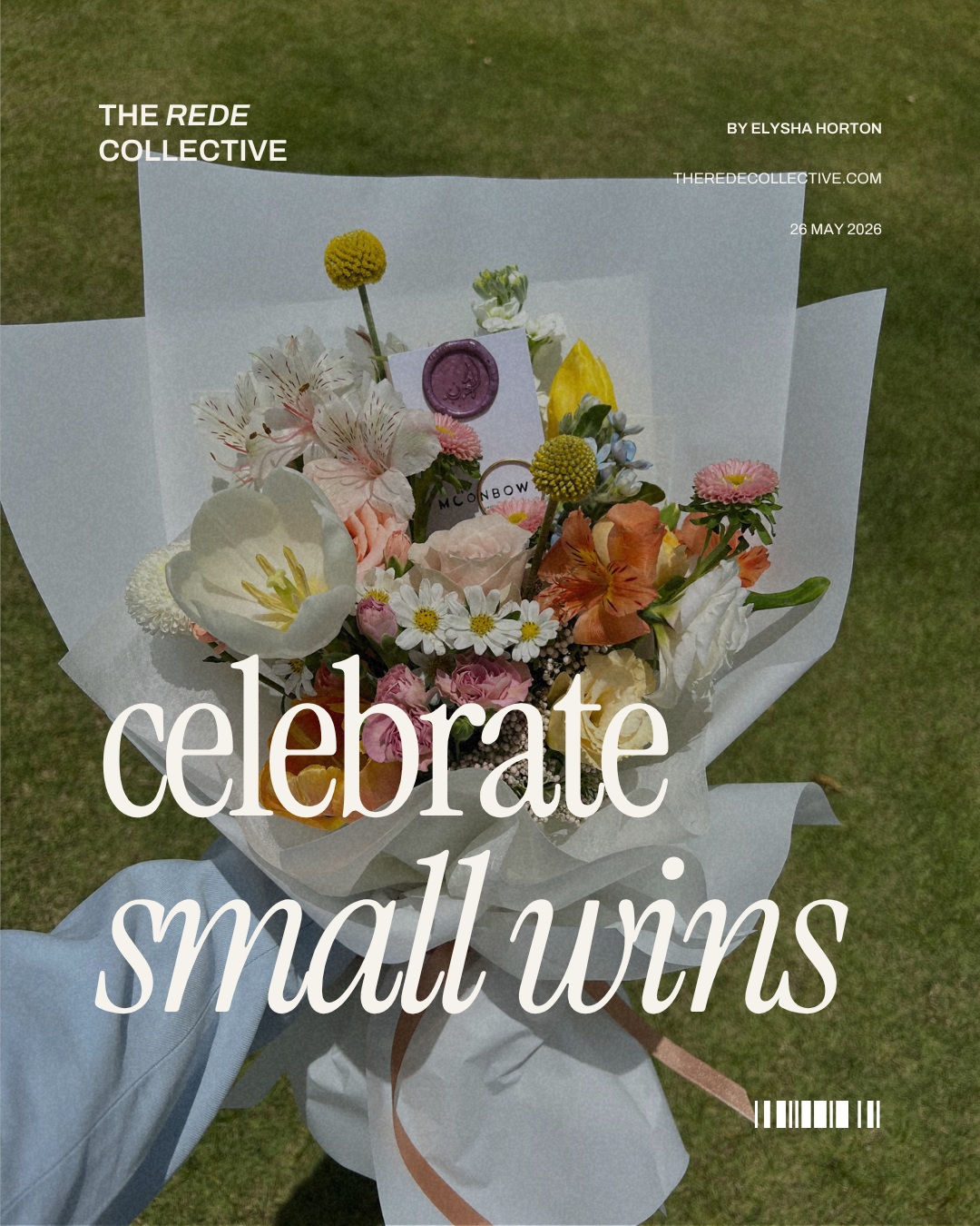 Celebrate small wins