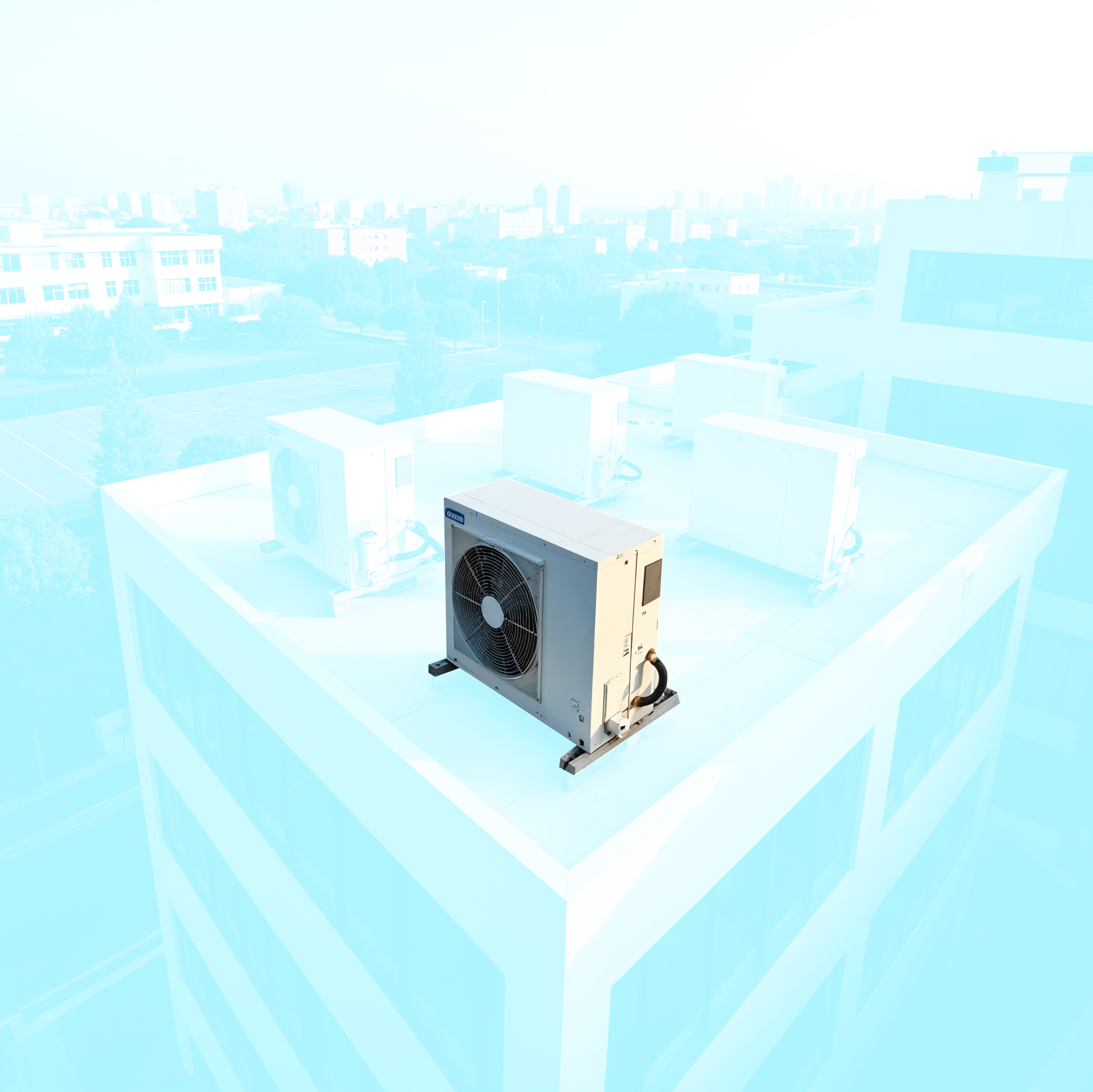 meico.png