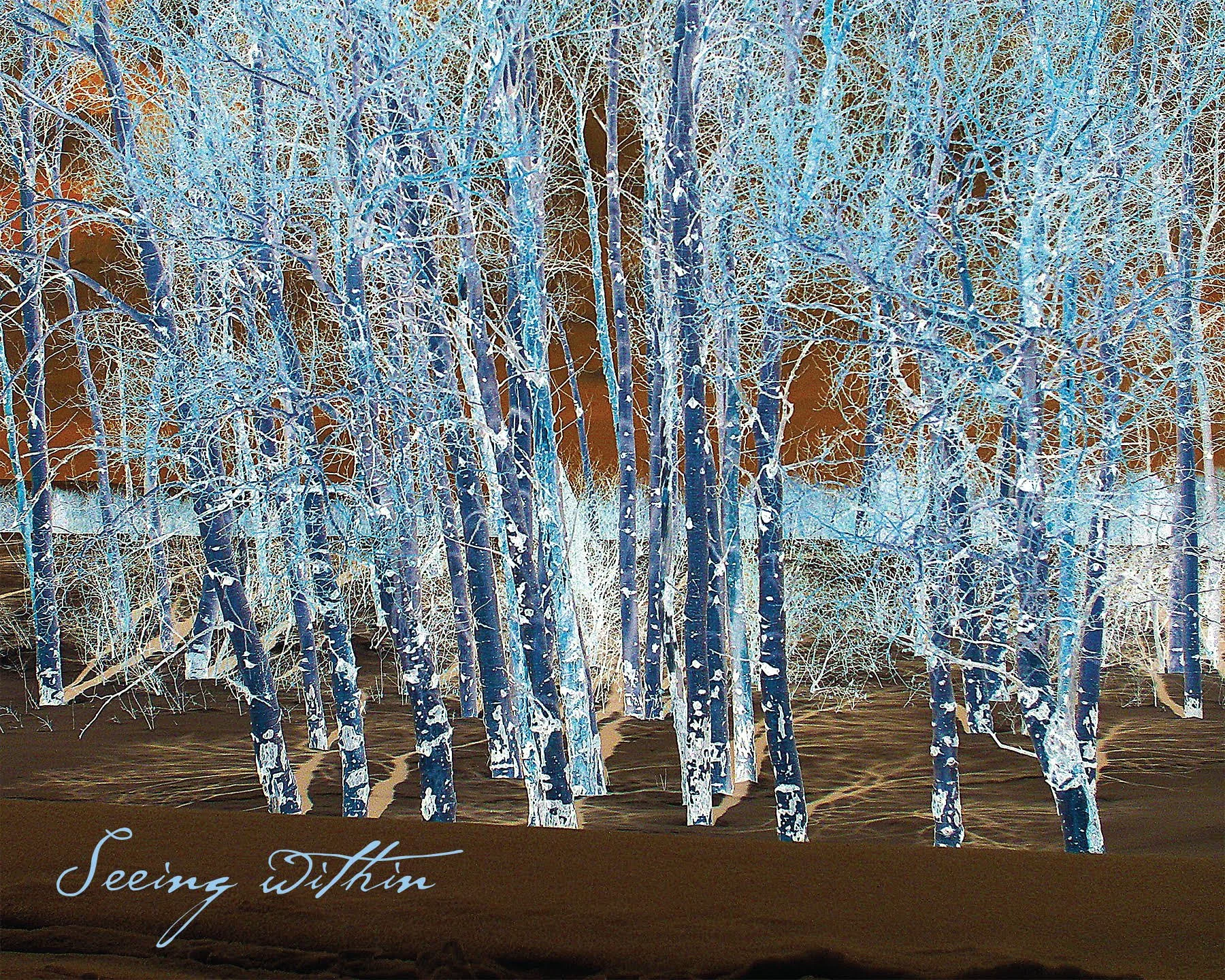 A digitally manipulated image of a forest with tall, leafless trees. The trees appear in negative colors, with white branches and trunks against a dark background. The phrase "Seeing Within" is written in cursive in the bottom left corner.