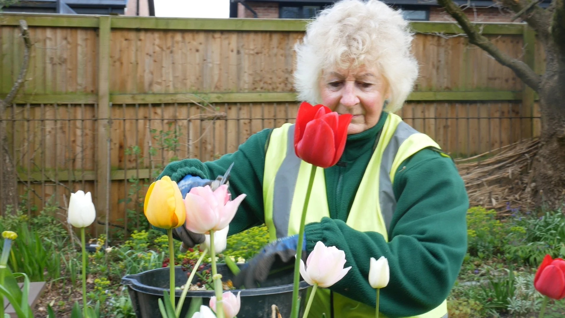 How Volunteers Brought This Abandoned Space Back to Life | A Community Project by Leyland in Bloom