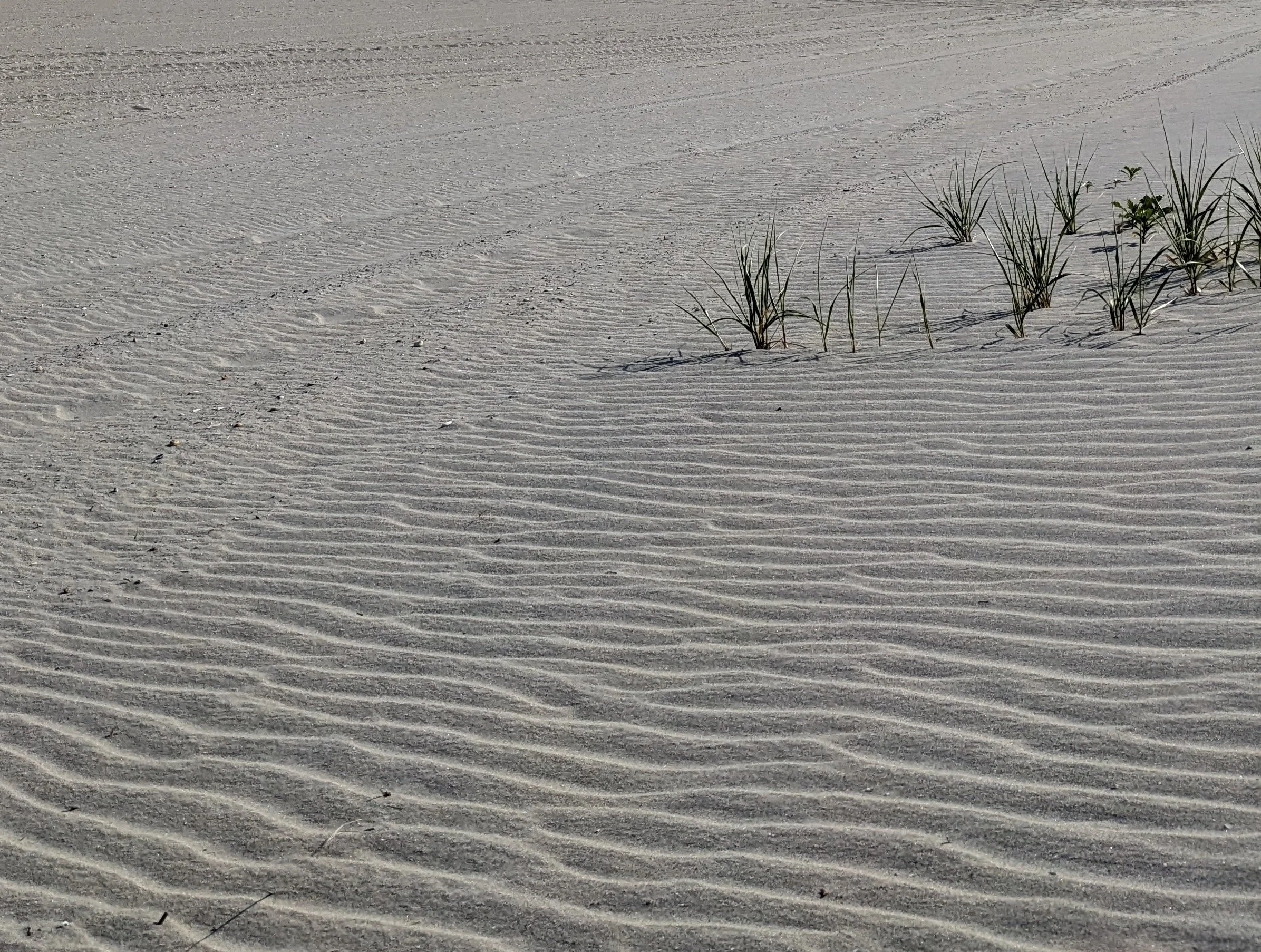 PXL_20230531_211810420 edit 1.jpg