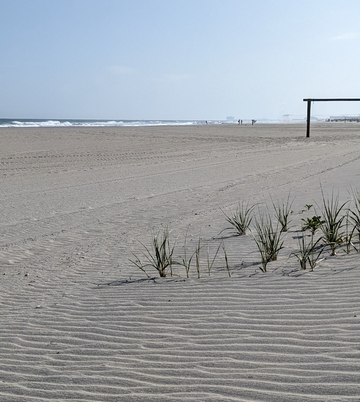 PXL_20230531_211810420 edit 3-Photoroom.png