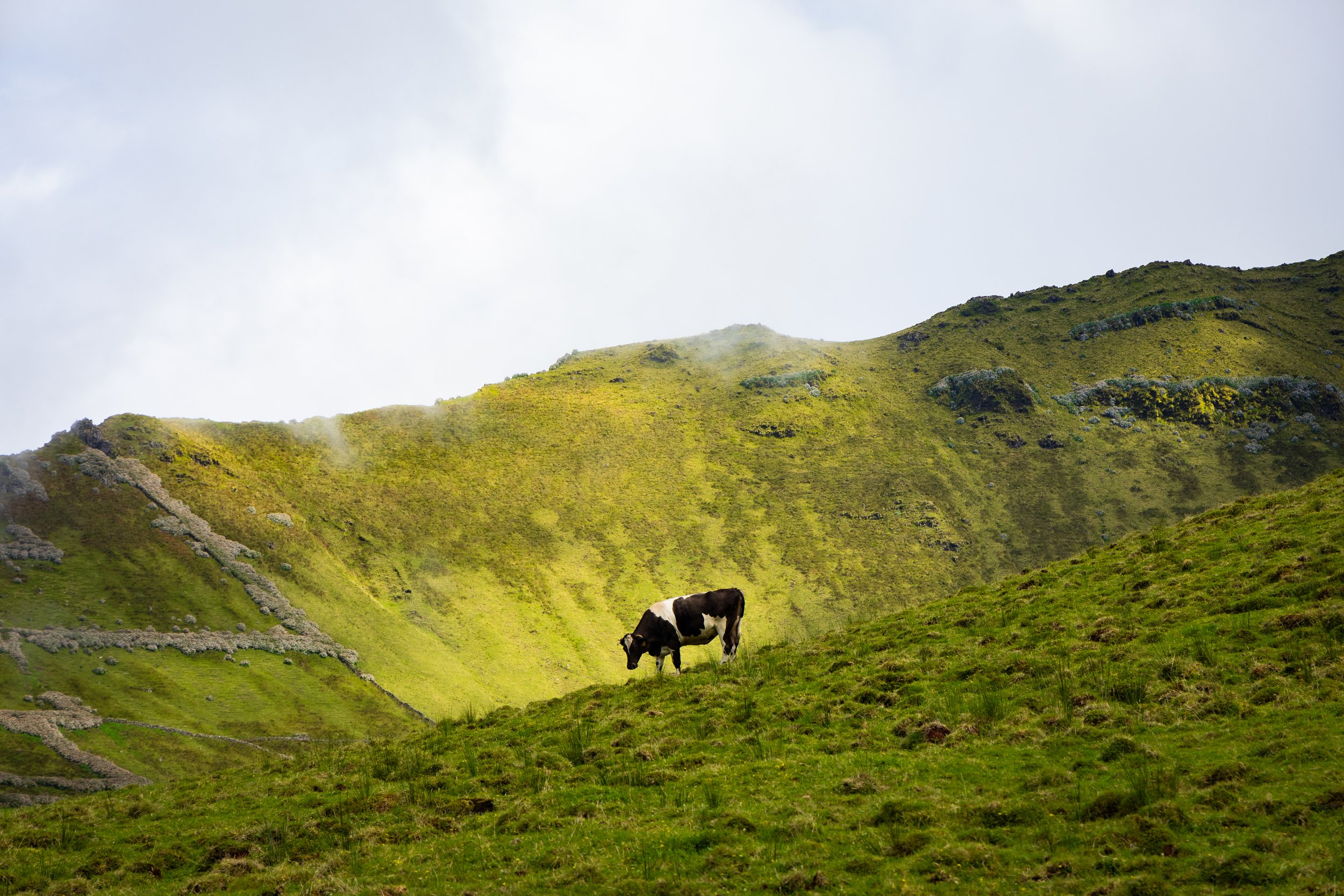 Corvo Island, Azores