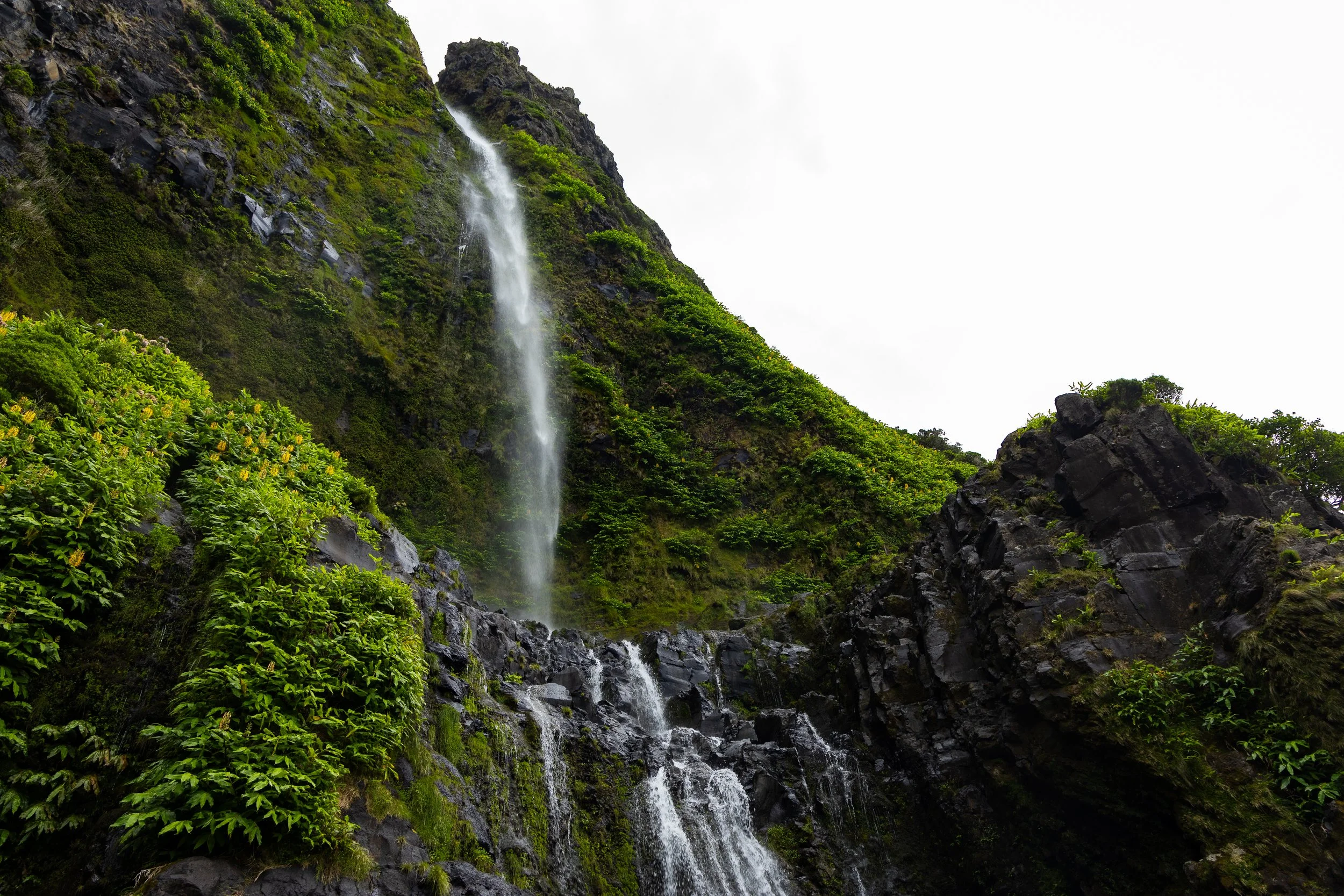 20260828AZORES_Flores__KGraczyk_039.jpg
