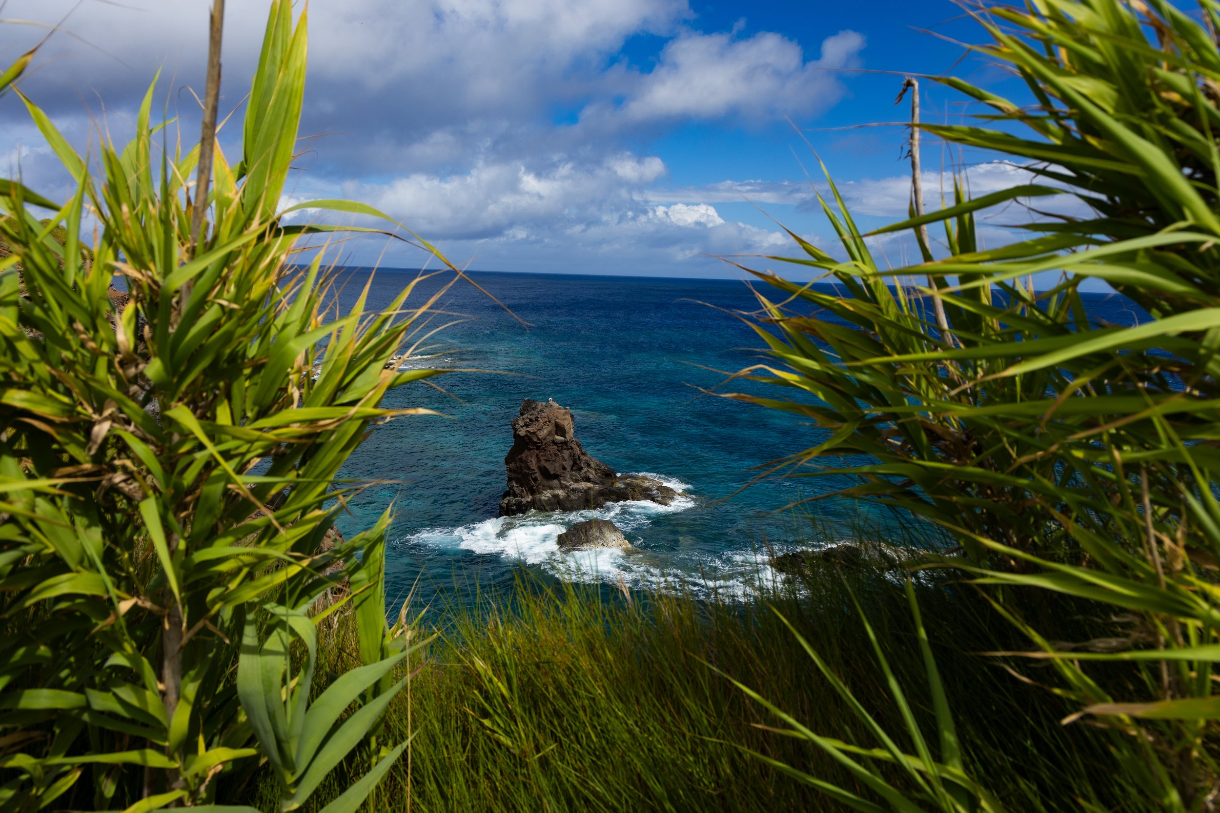 20260829AZORES_Flores__KGraczyk_046.jpg