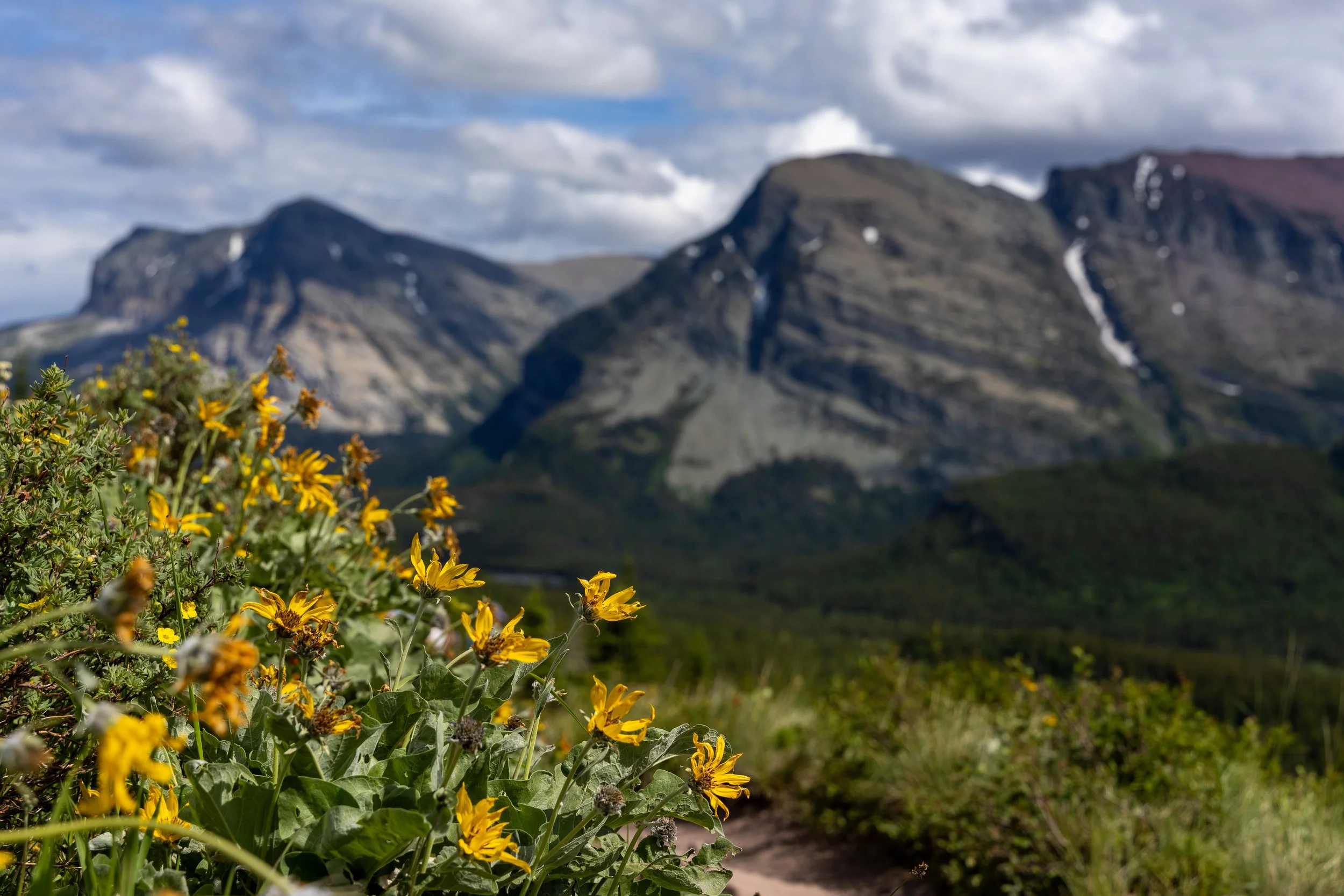 Glacier National Park
