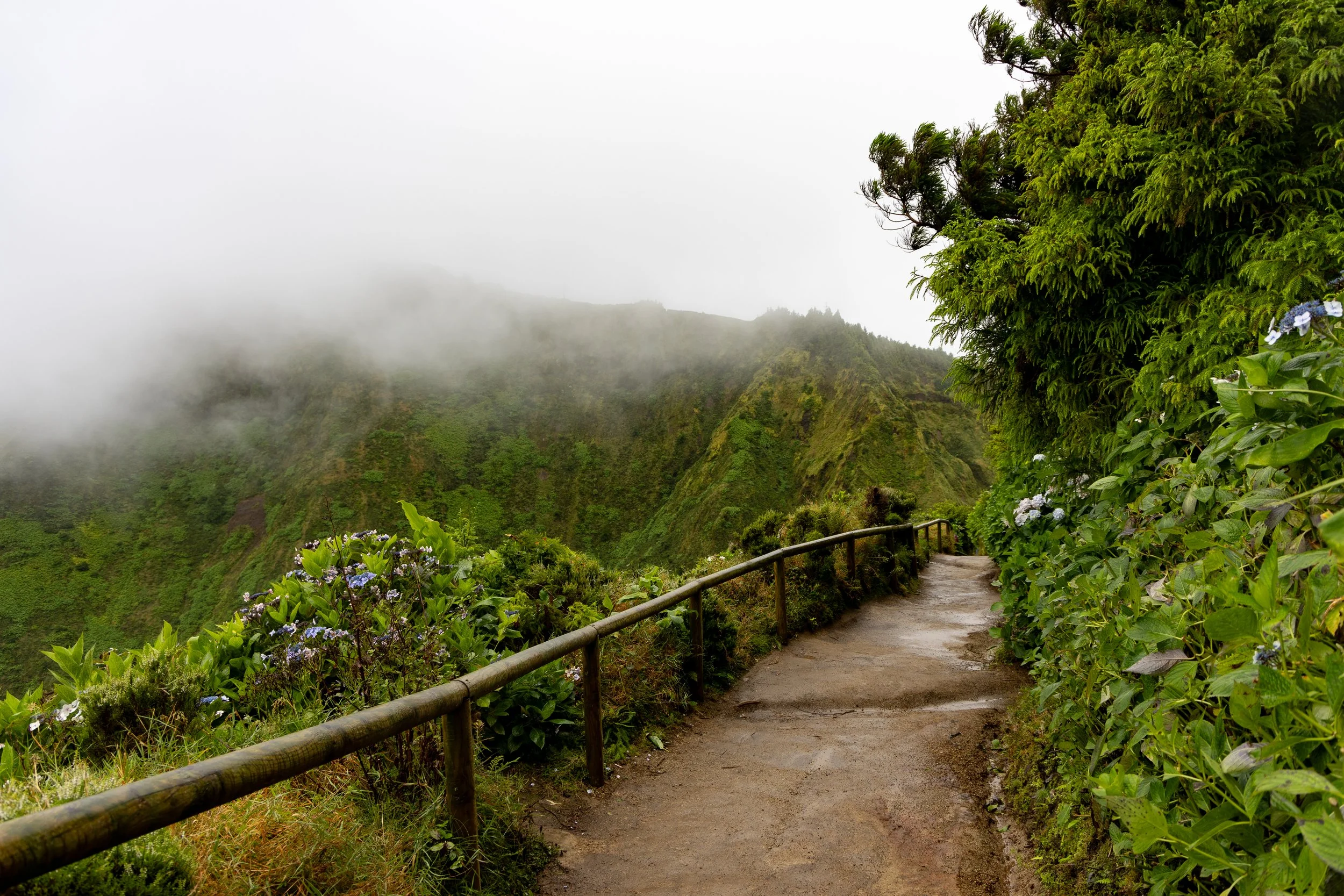 20260825AZORES_Sete Cicades__KGraczyk_030.jpg