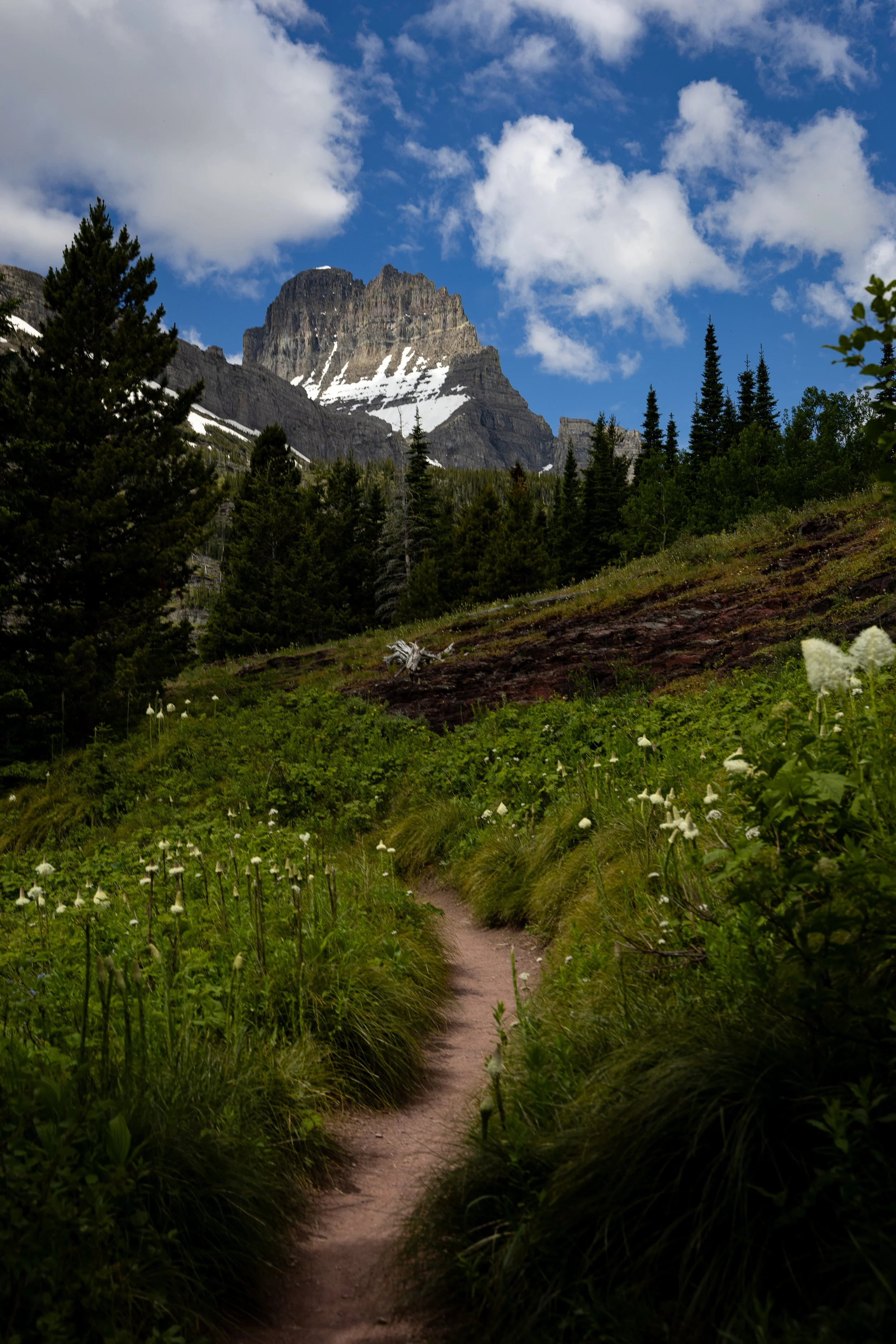 Glacier National Park