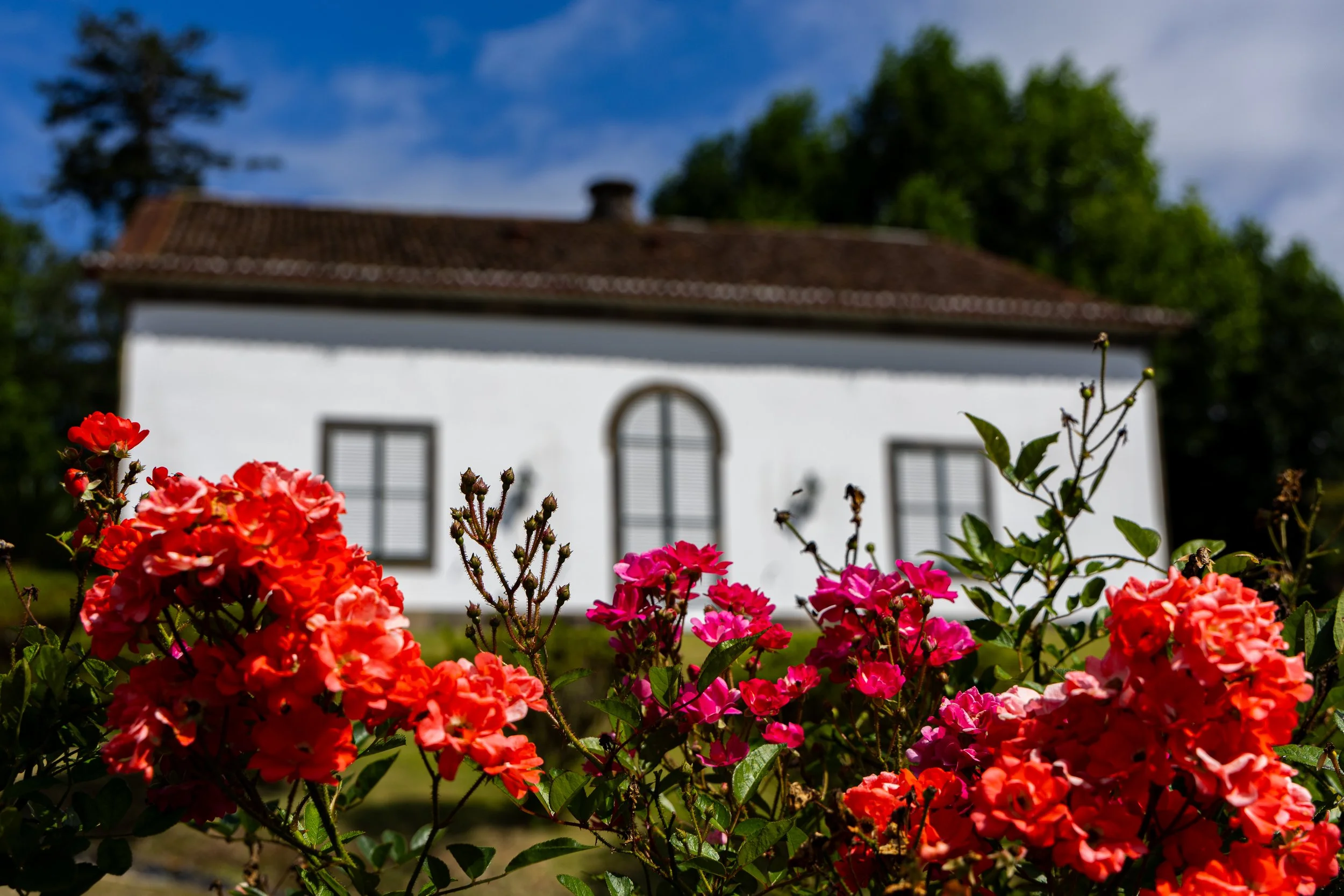 20260822AZORES_Furnas__KGraczyk_013.jpg