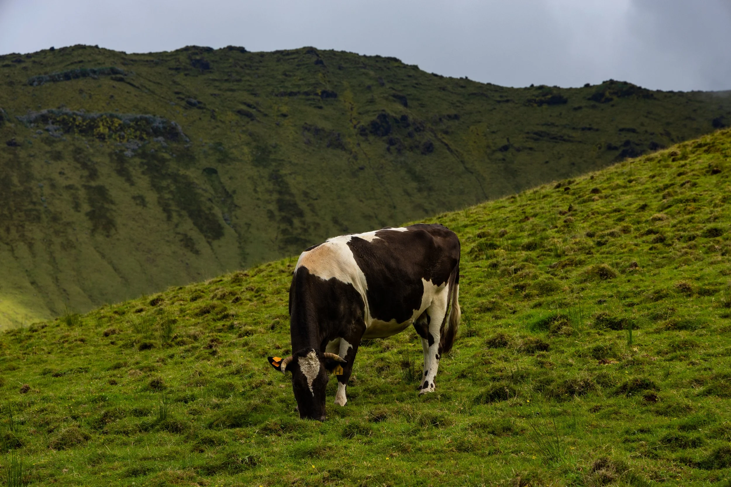 20260830AZORES_Corvo__KGraczyk_046.jpg