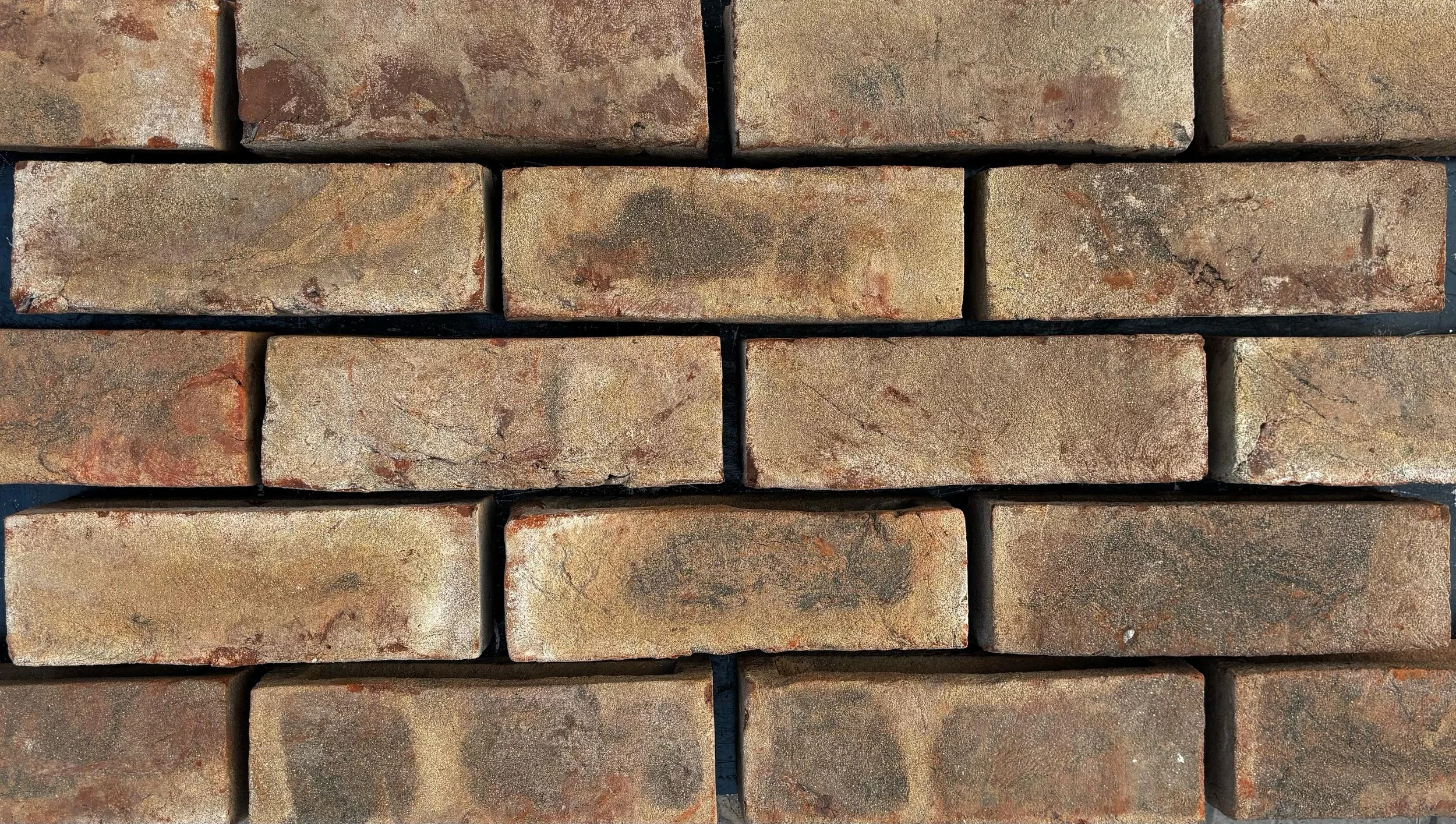 Close-up of a brick wall with bricks in shades of brown, tan, and reddish tones.
