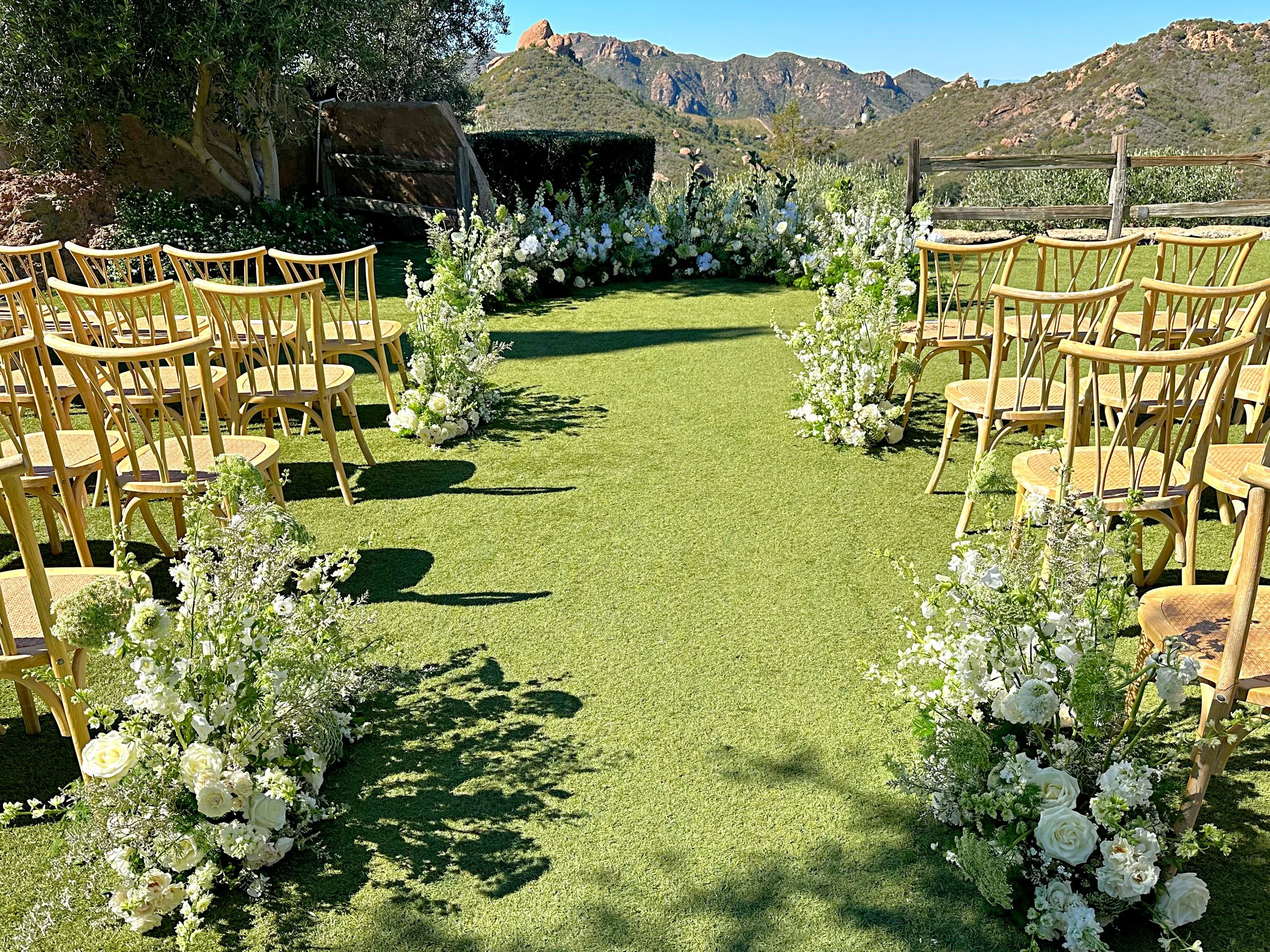 RNI-Films-IMG-7BF0A3D9-0ADC-4FB5-8E0F-5931BF3FD36E 2.JPG