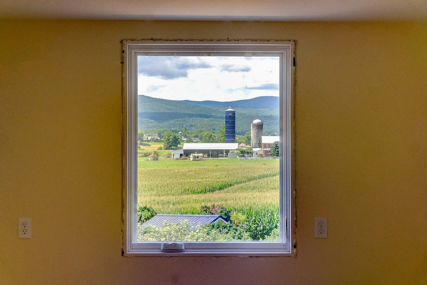 Cohesive Windows and Doors for a Home Renovation in Dayton