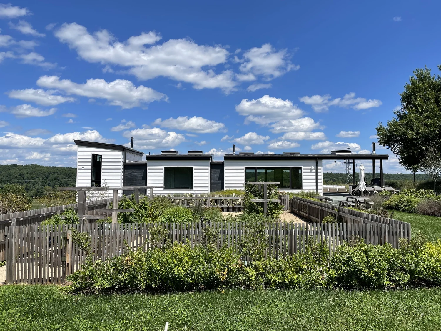 new-windows-for-home-in-charlottesville-va.jpg