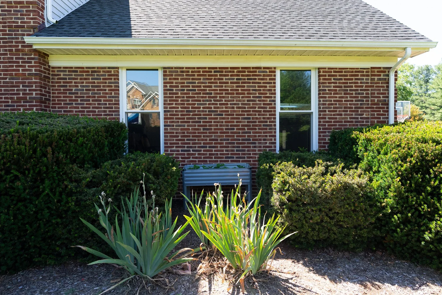 window-replacement-stauton.jpg