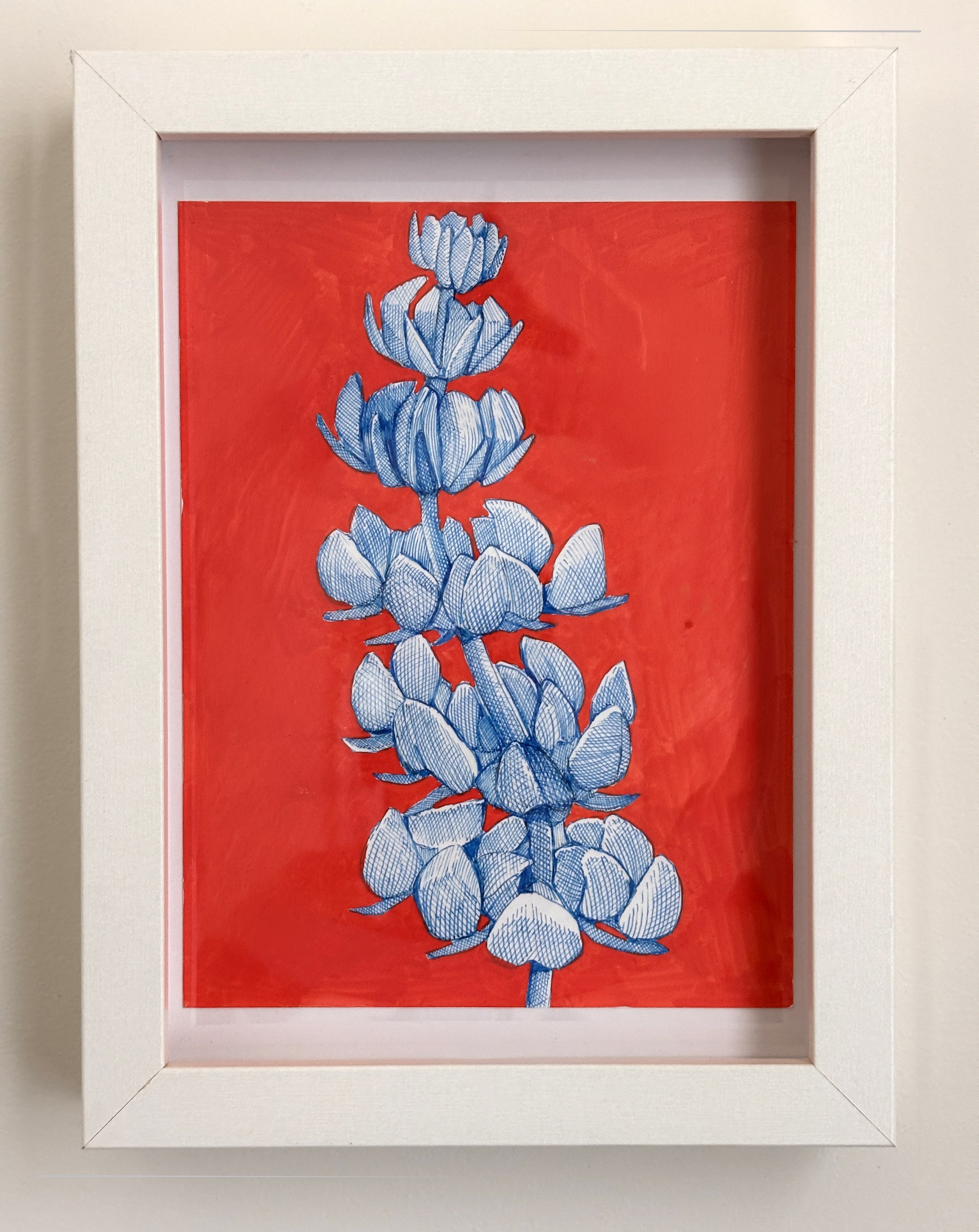 Blue Line Drawing of a Lupin on Bright Red Background