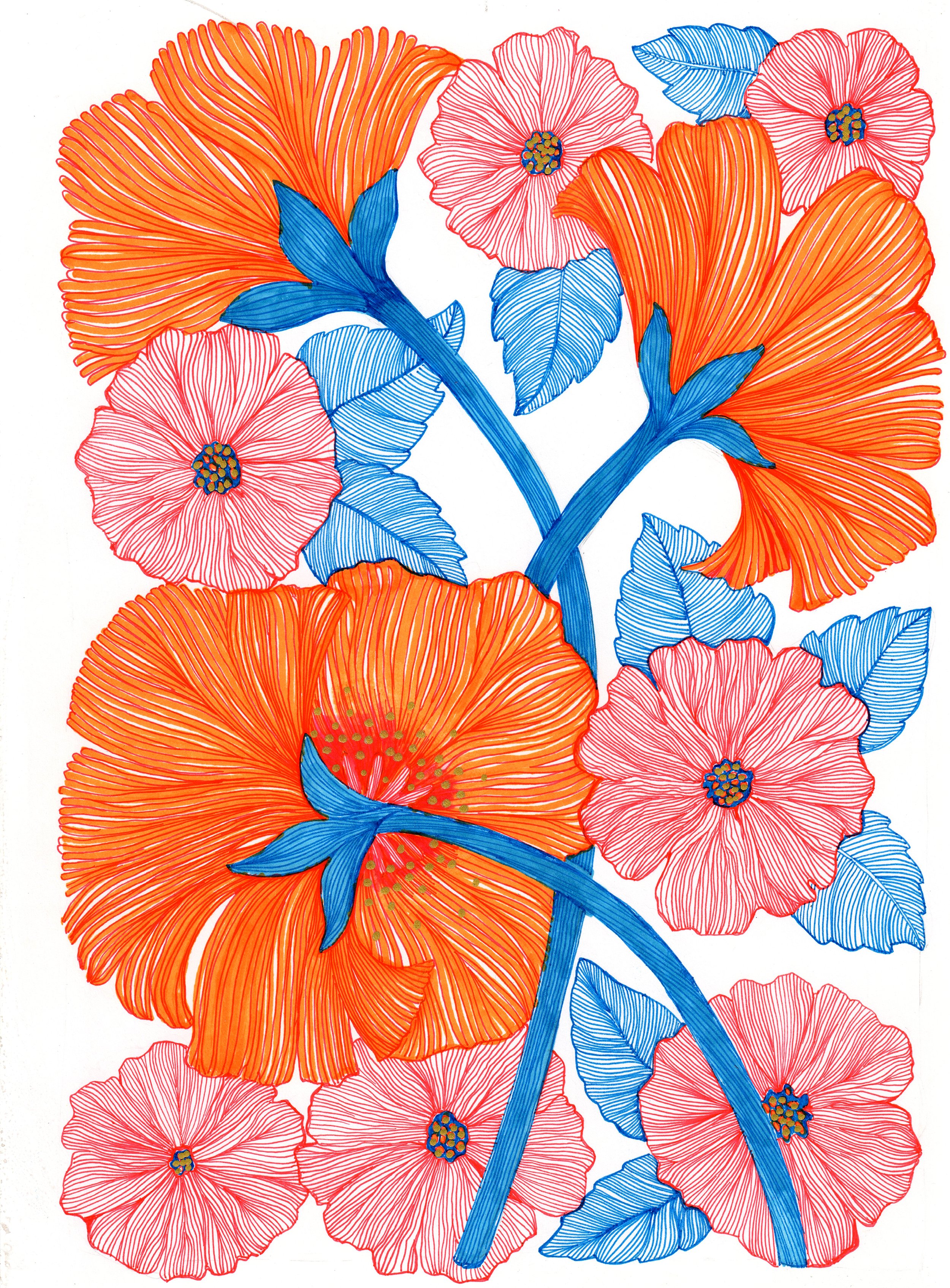 Big Orand Blooms SML.jpg