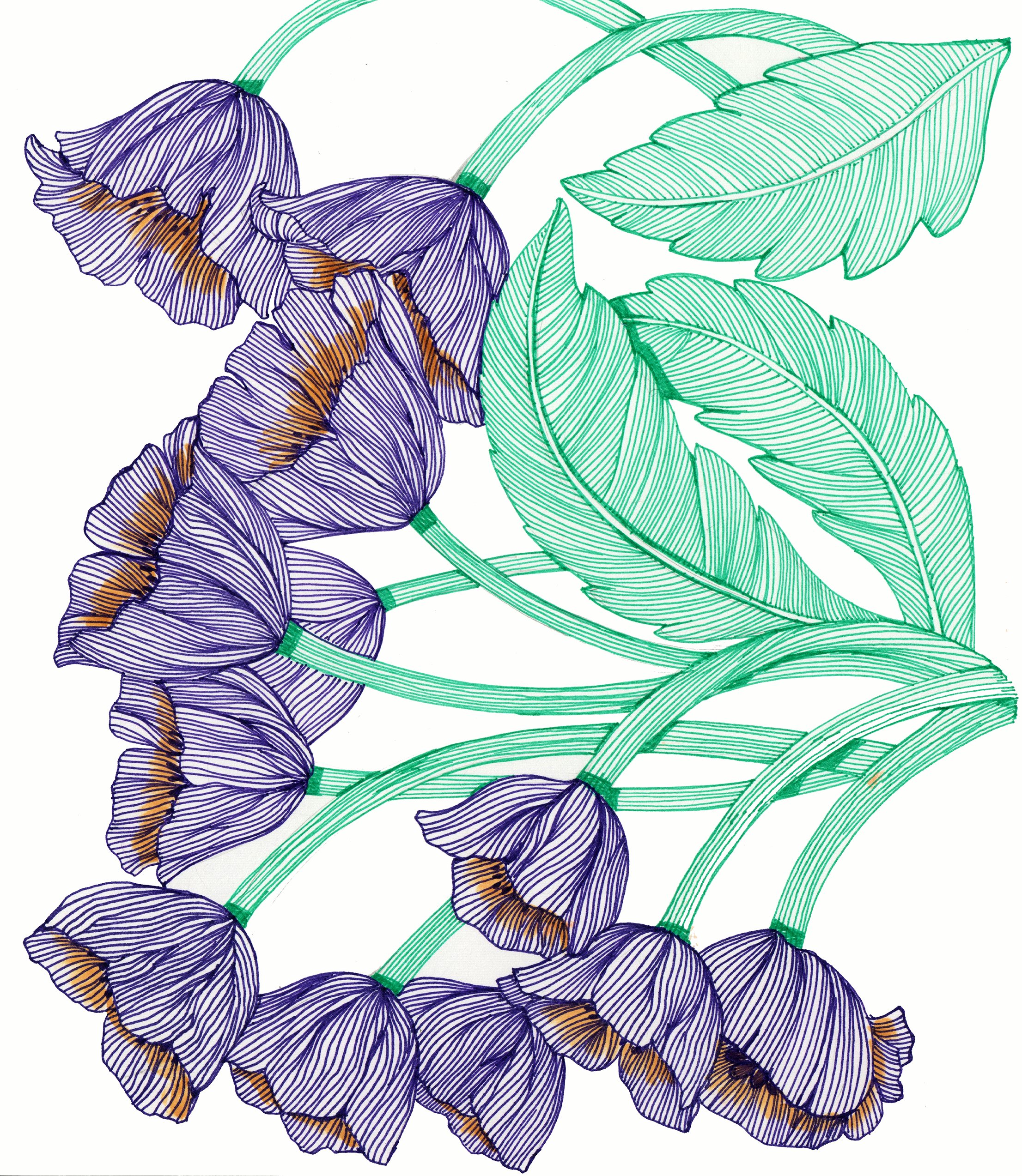 Purple Flowers 1 SM.jpg