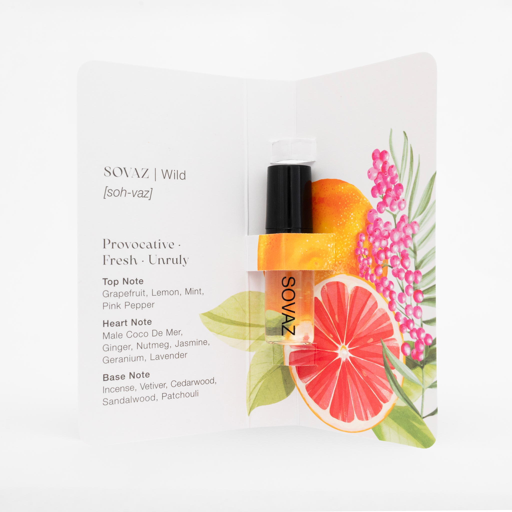 Illustration for Coco De Mer