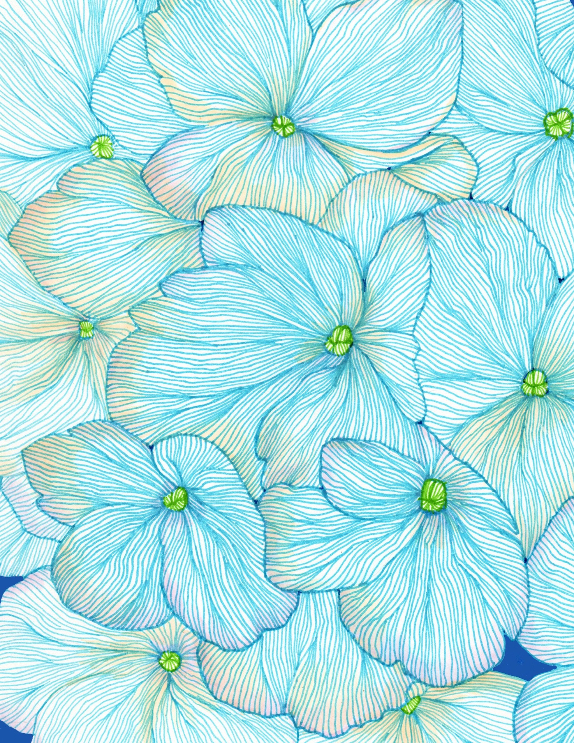 BLue+Hydrangea+SM.jpg