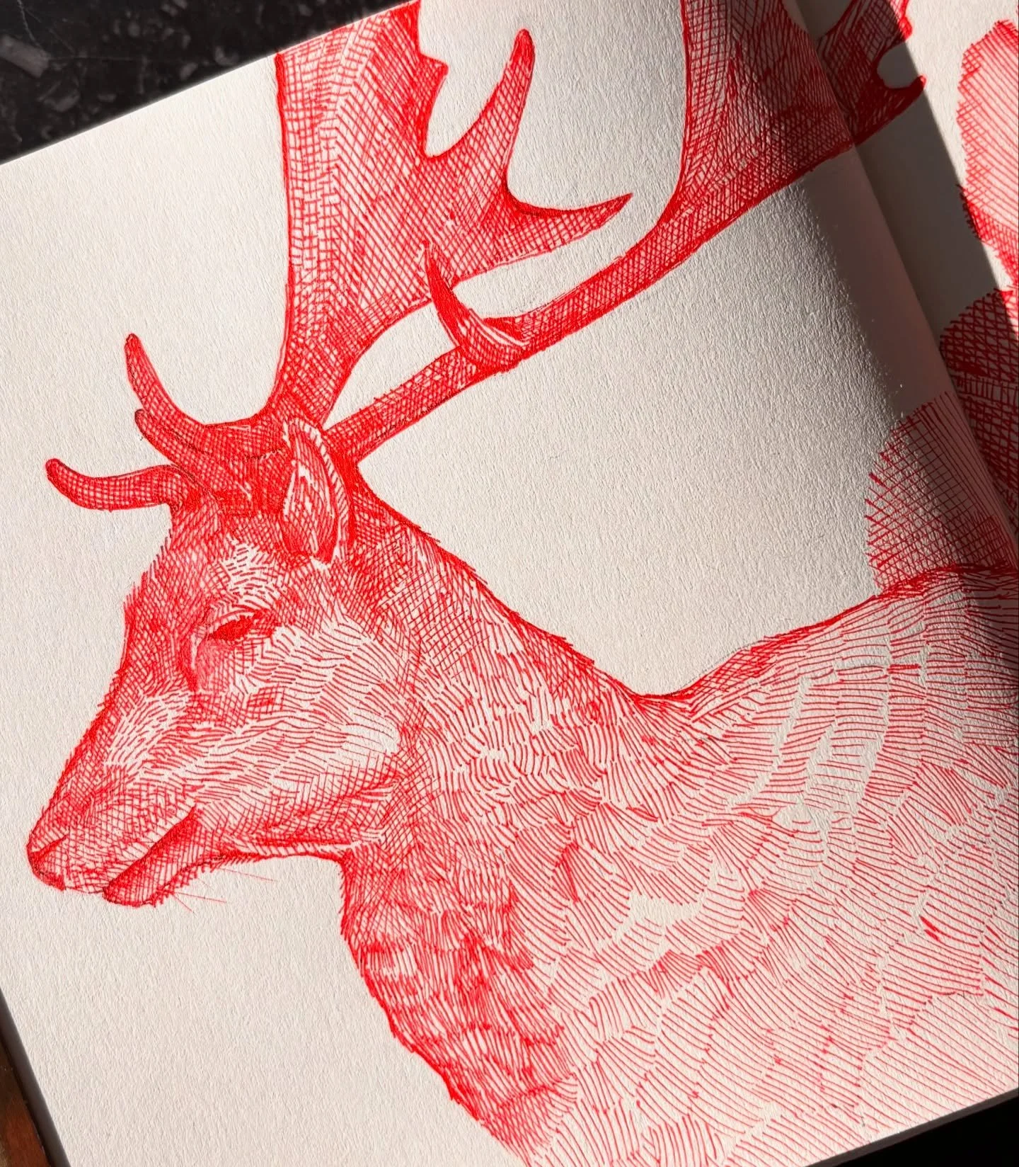 A “Deer” for the 5th prompt of #inktober with some random, chaotic botanicals 
#crosshatch 
Micron 005 pen by @sakuraofamerica
