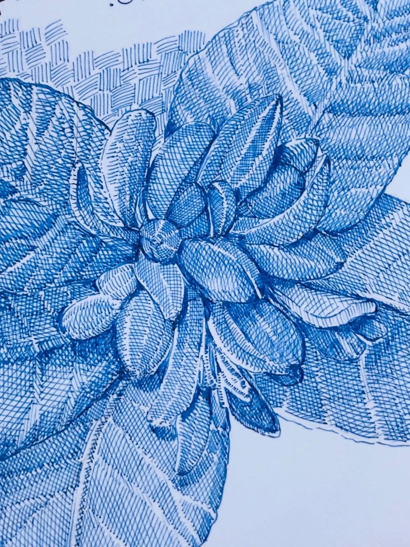 Rough Sketches #crosshatching #texture
