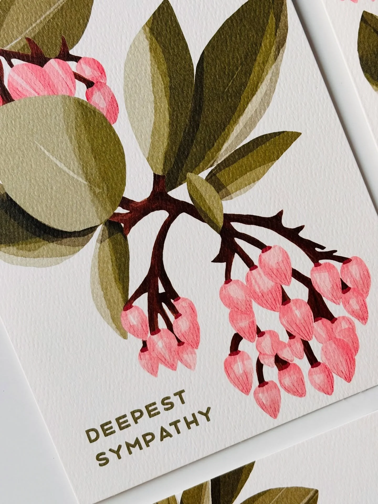 New card design at Trader Joe&rsquo;s. 🌸let me know if you see it in your store

#manzanitablossoms #greetingcarddesign #sympathycard