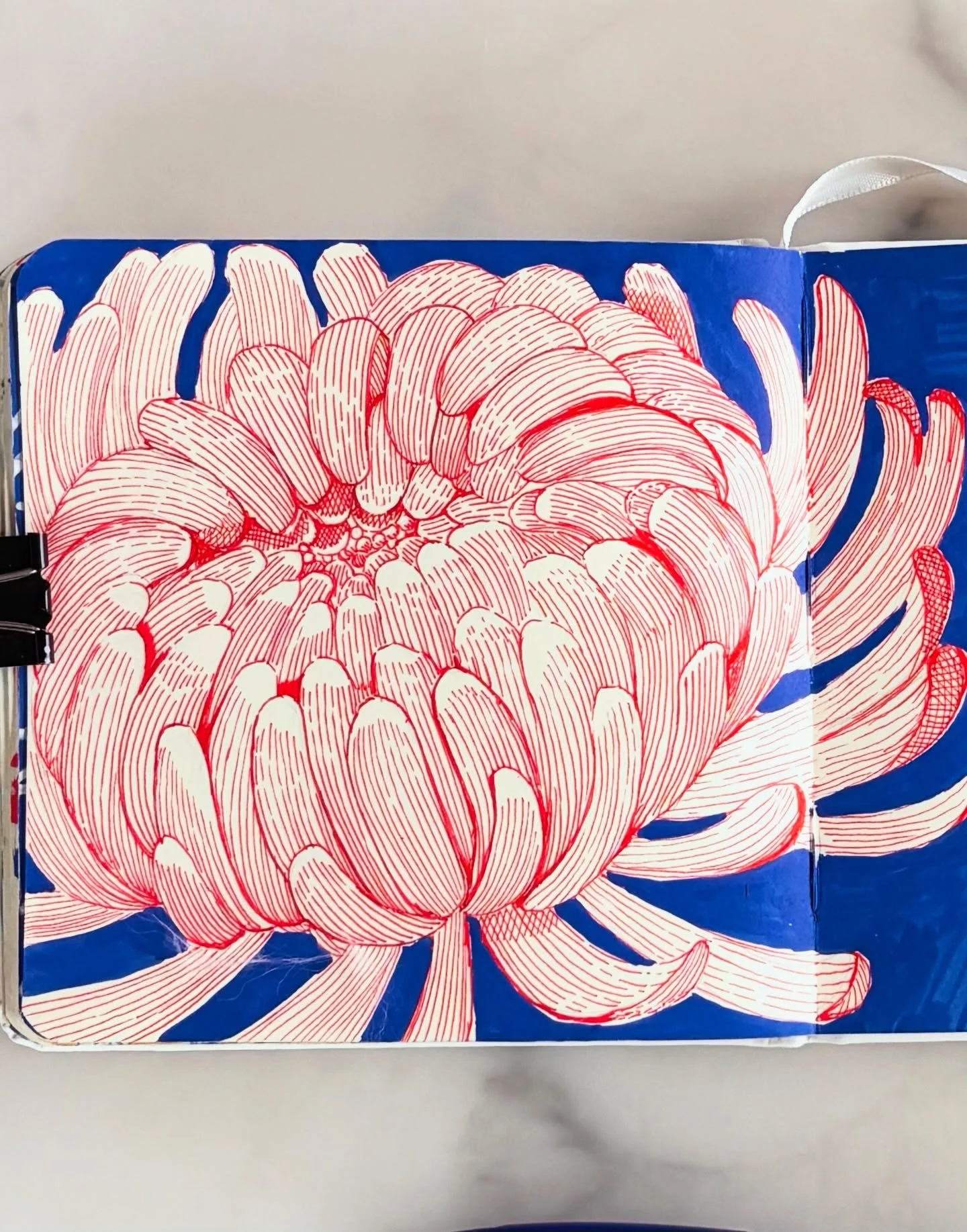 Red and Blue - near my heart ❤️💙